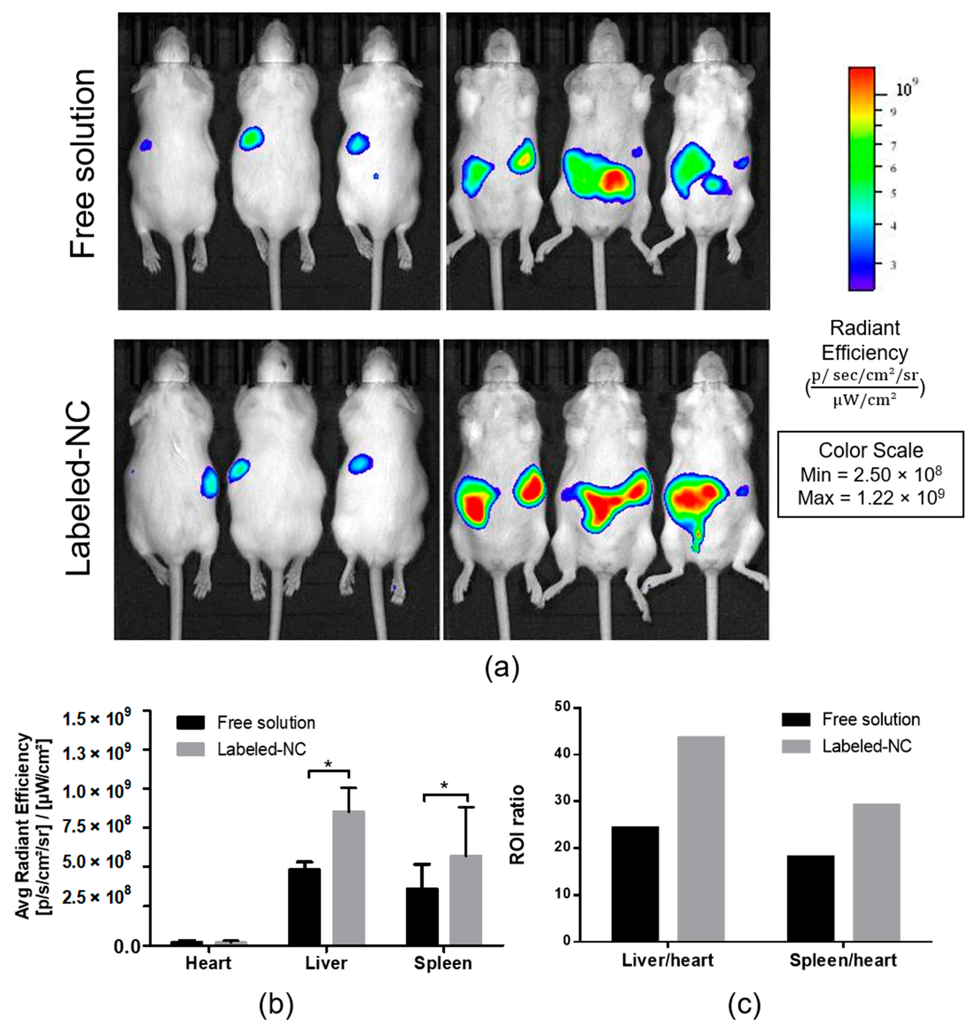 Pharmaceutics 13 01061 g006
