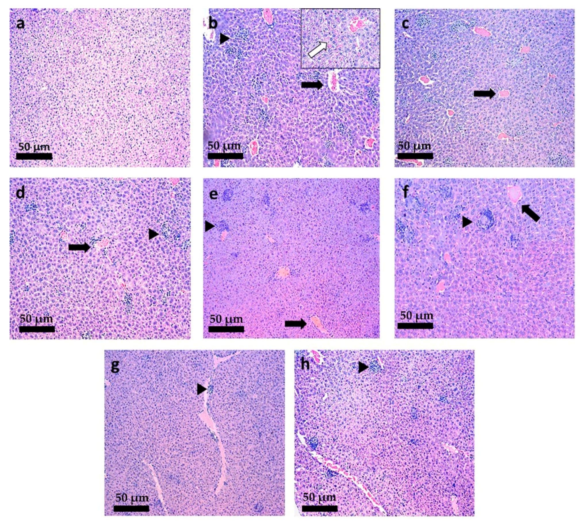 Pharmaceutics 13 01061 g007