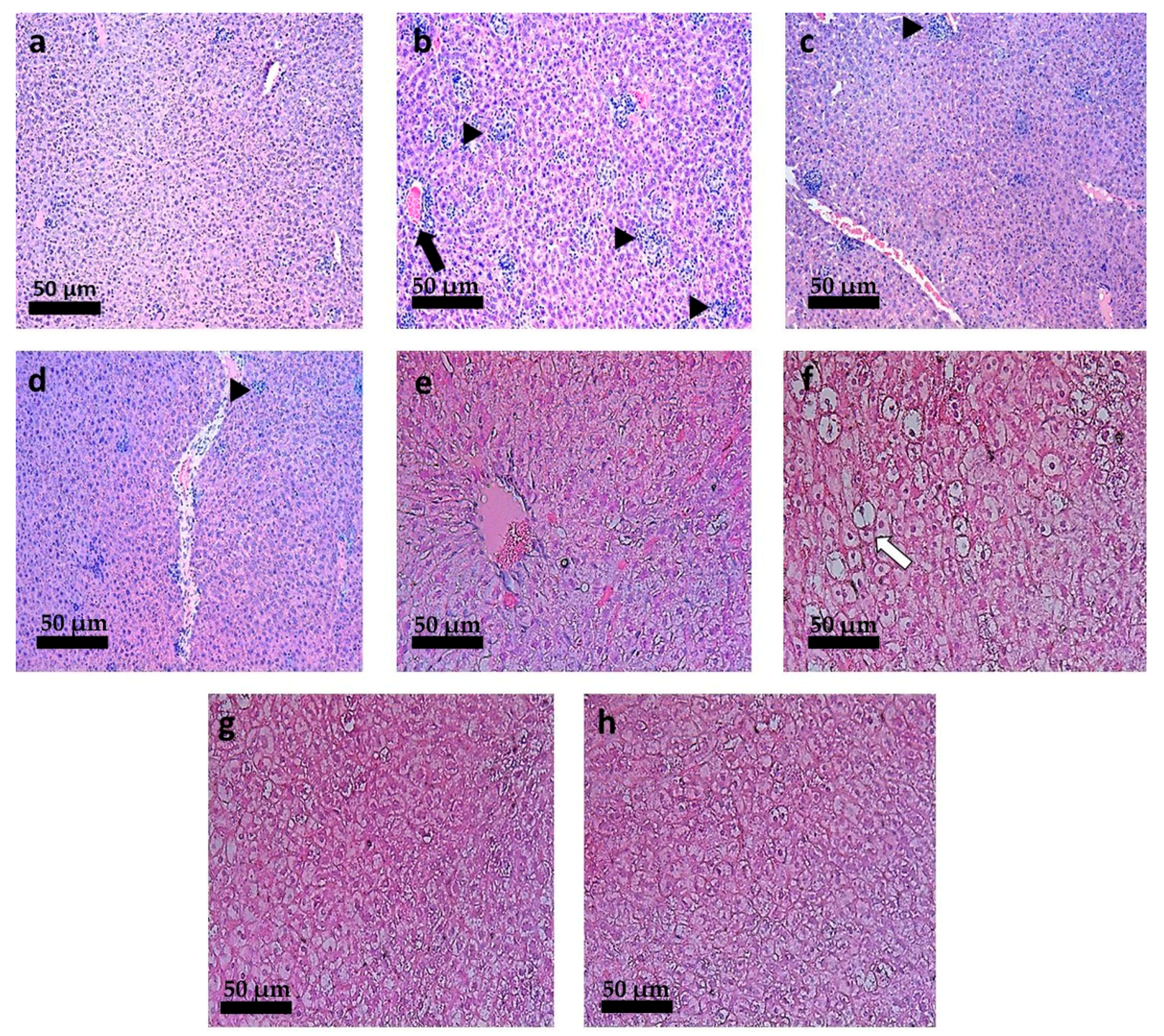 Pharmaceutics 13 01061 g009