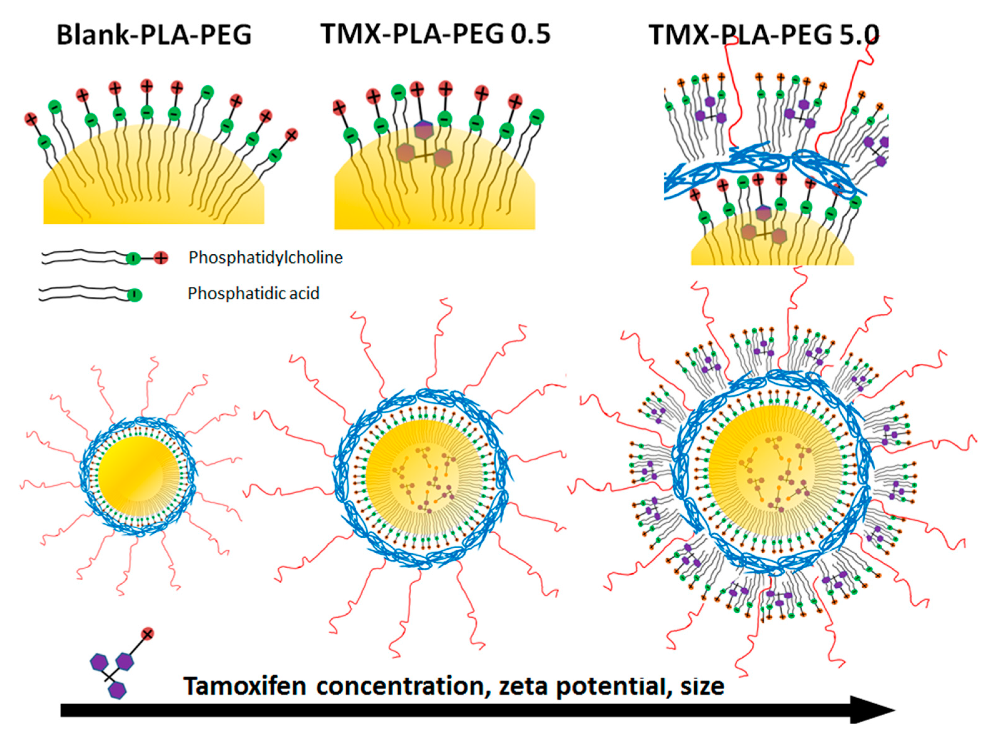 Pharmaceutics 13 01061 g011