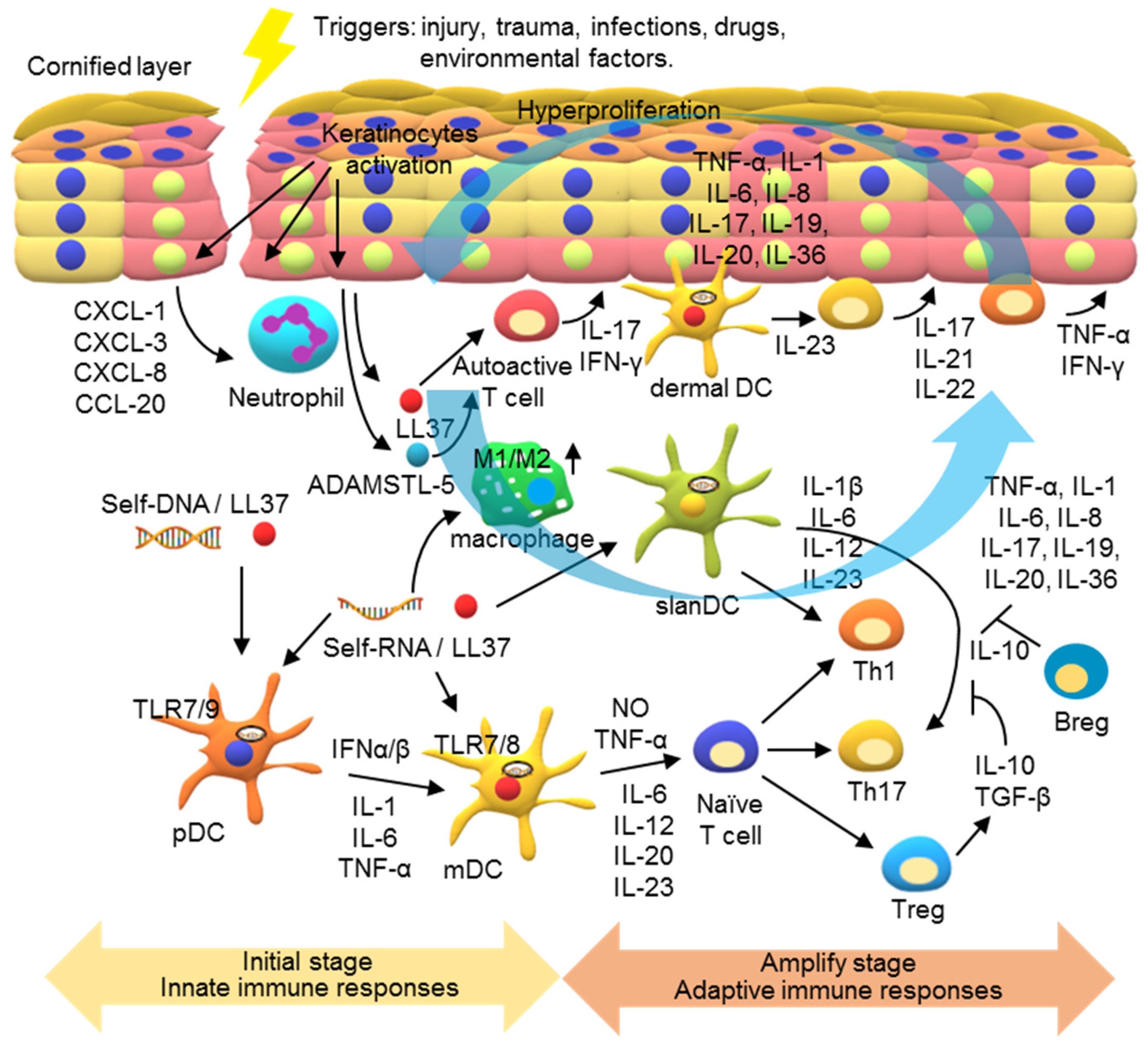 Pharmaceutics 13 01064 g005