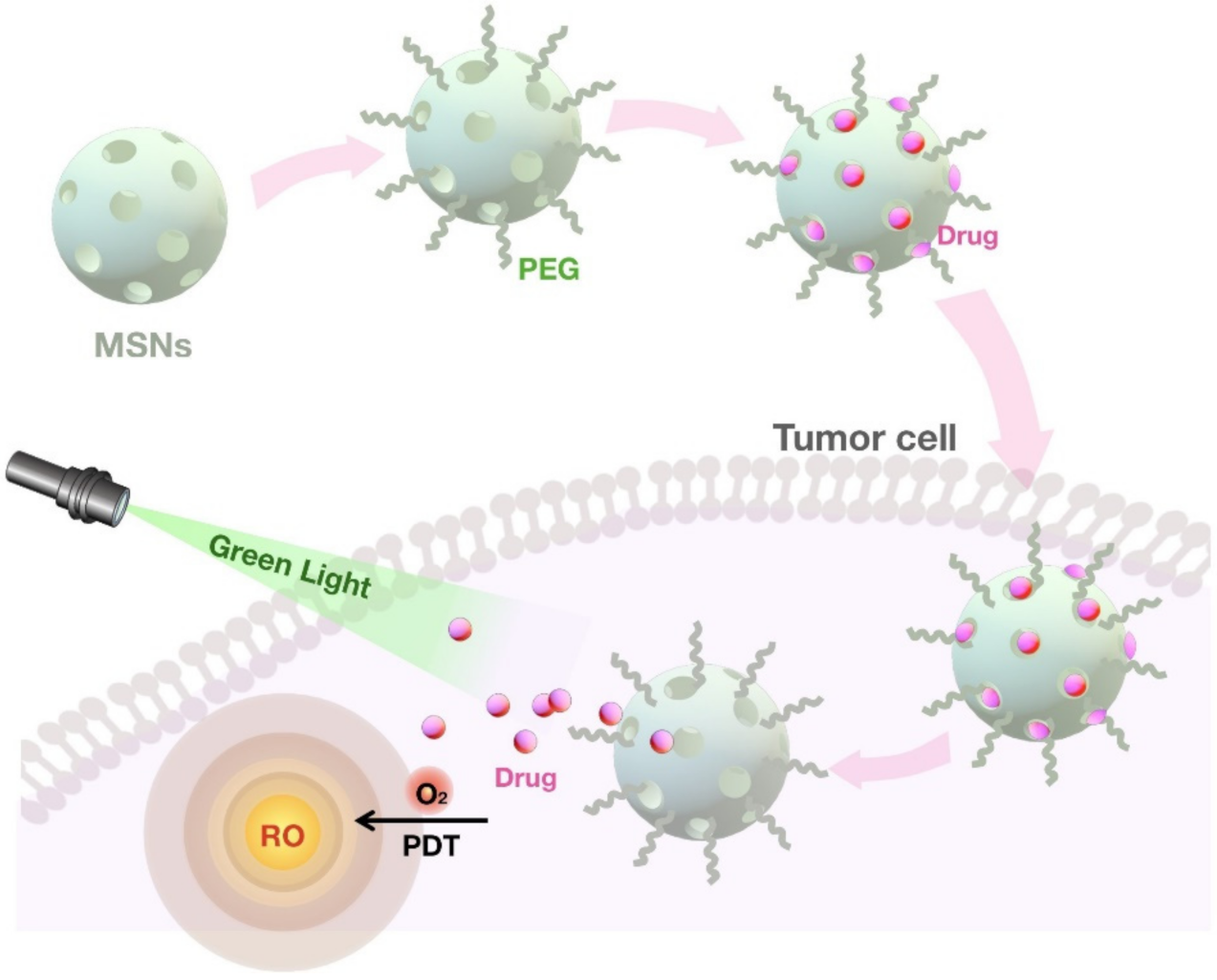 Pharmaceutics 13 01067 g009 Pharmaceutics 13 01067 g009