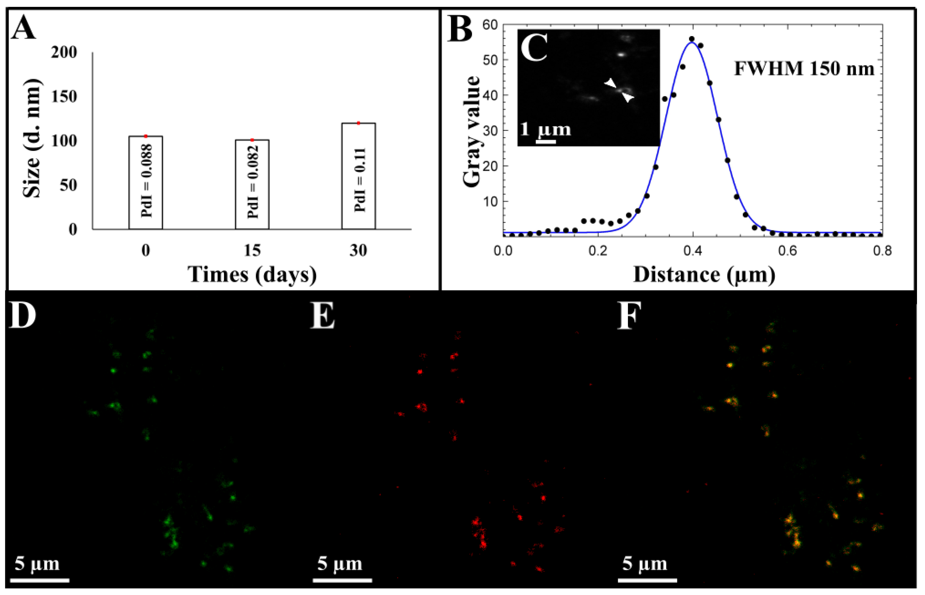 Pharmaceutics 13 01069 g002