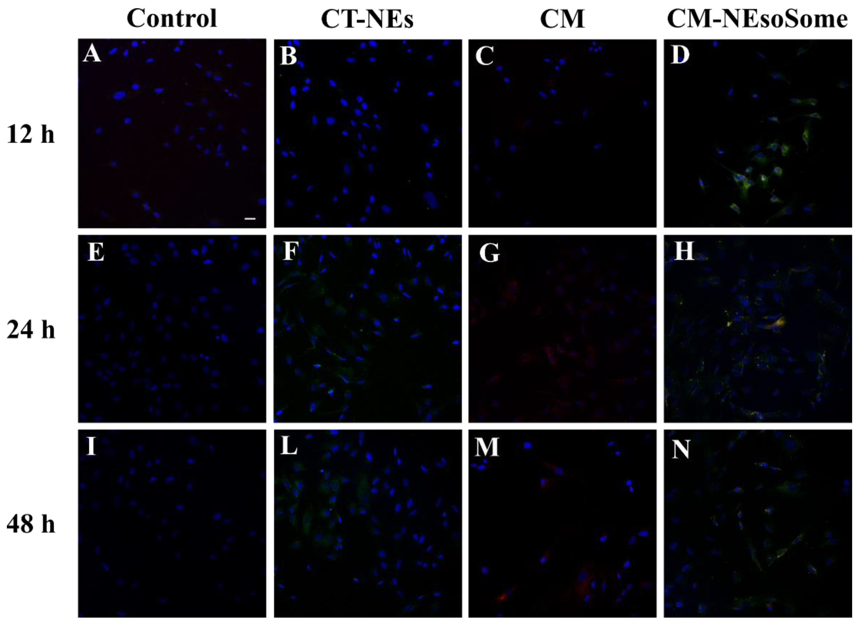 Pharmaceutics 13 01069 g005