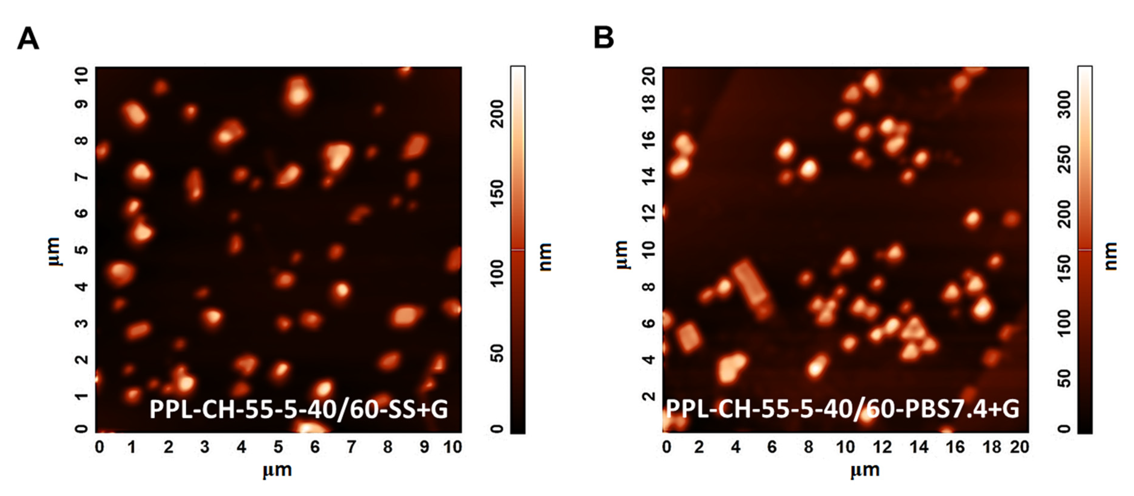 Pharmaceutics 13 01071 g010 550