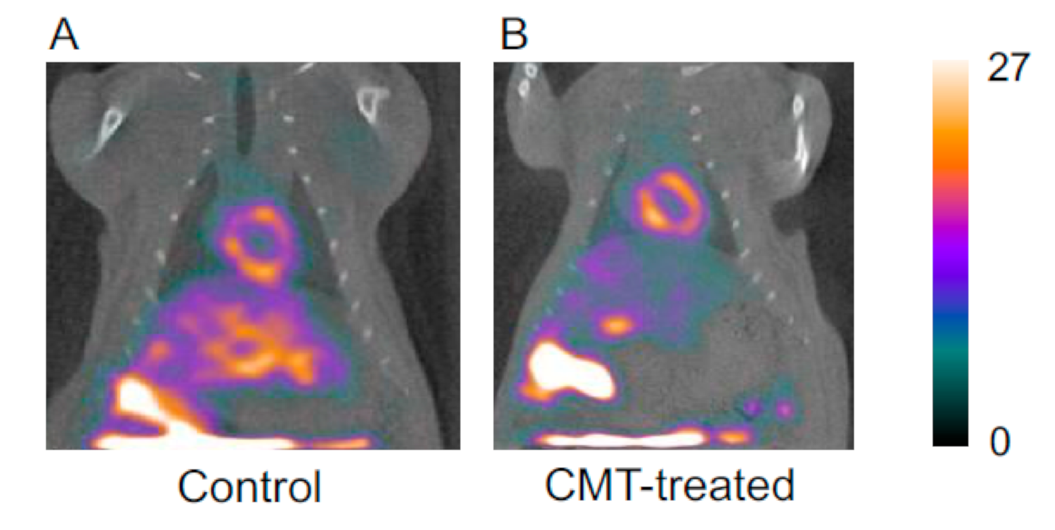 Pharmaceutics 13 01073 g003 550