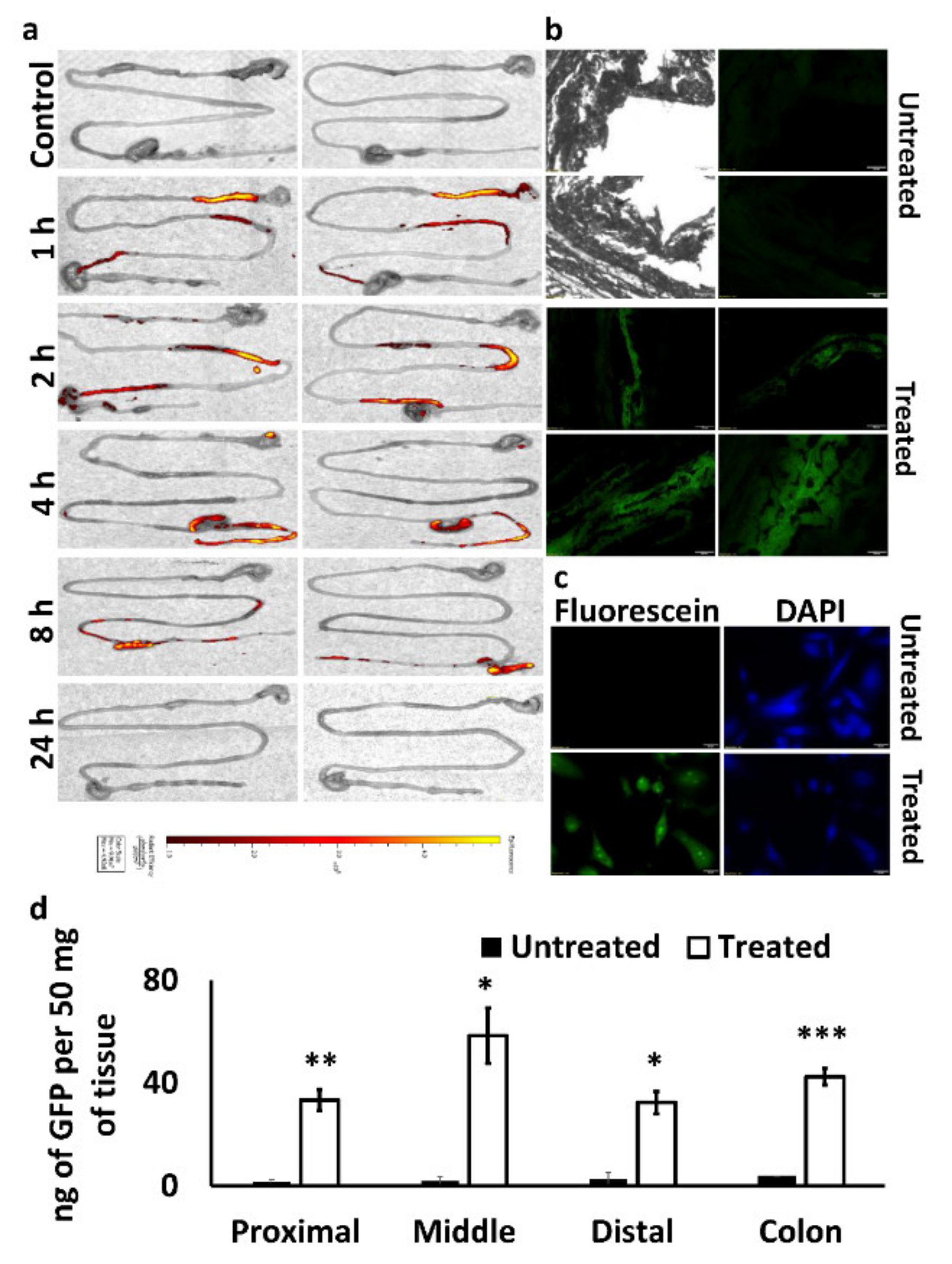 Pharmaceutics 13 01075 g009 550