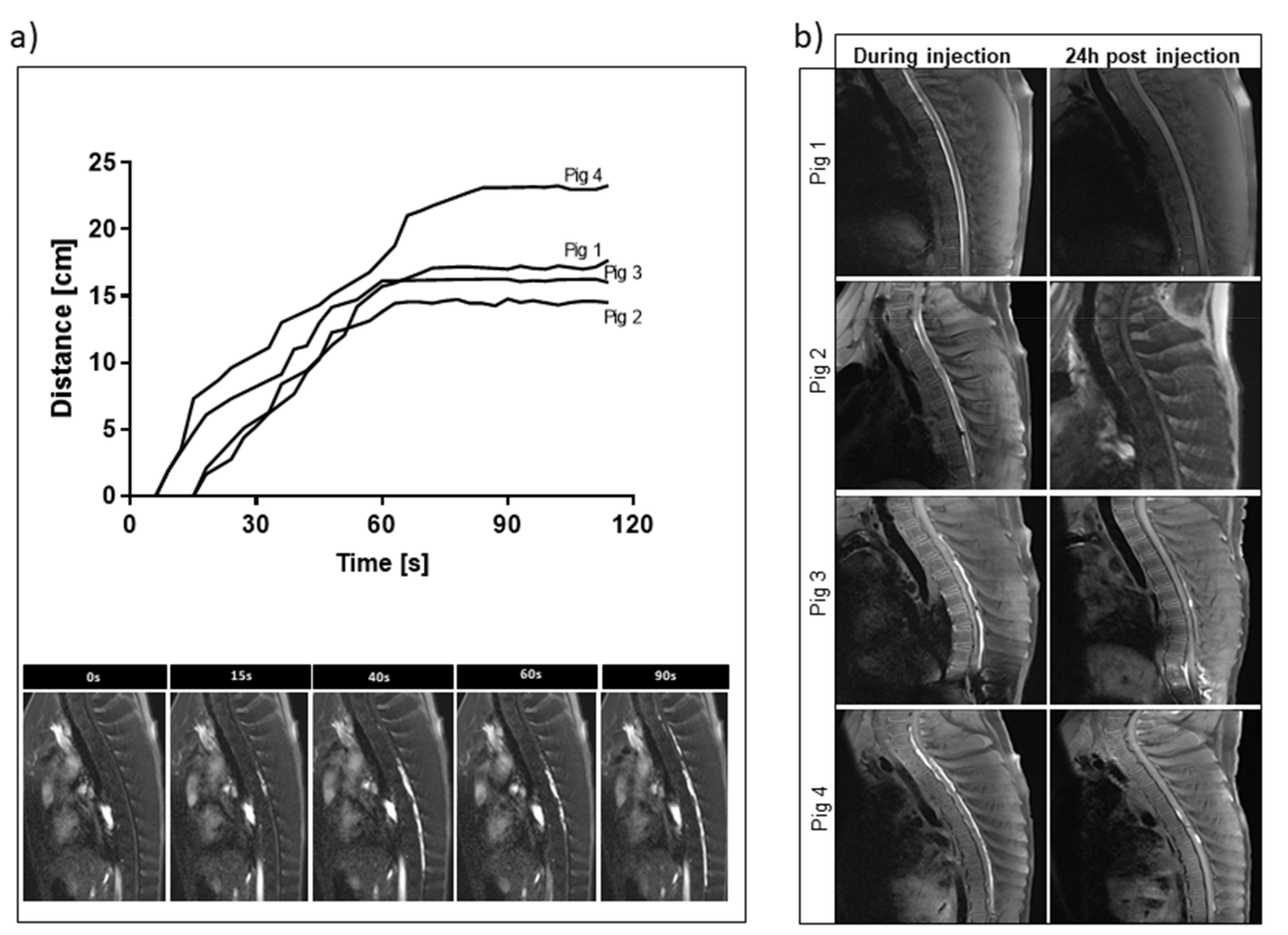Pharmaceutics 13 01076 g004