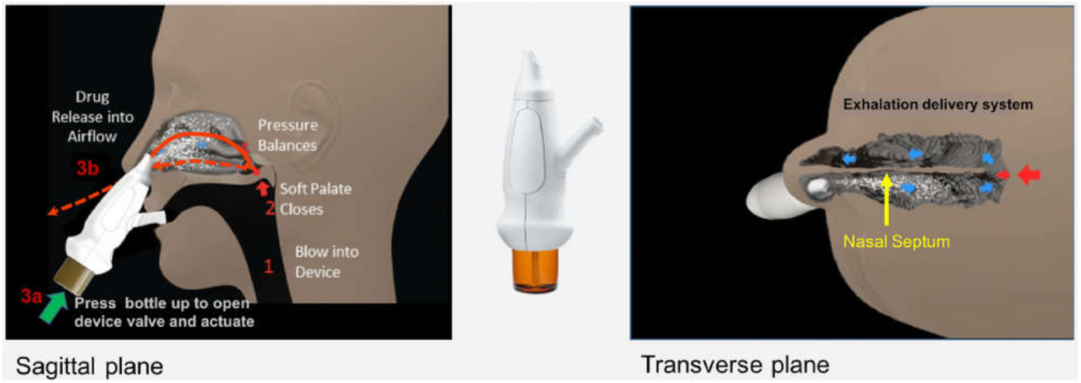 Pharmaceutics 13 01079 g002 Pharmaceutics 13 01079 g002