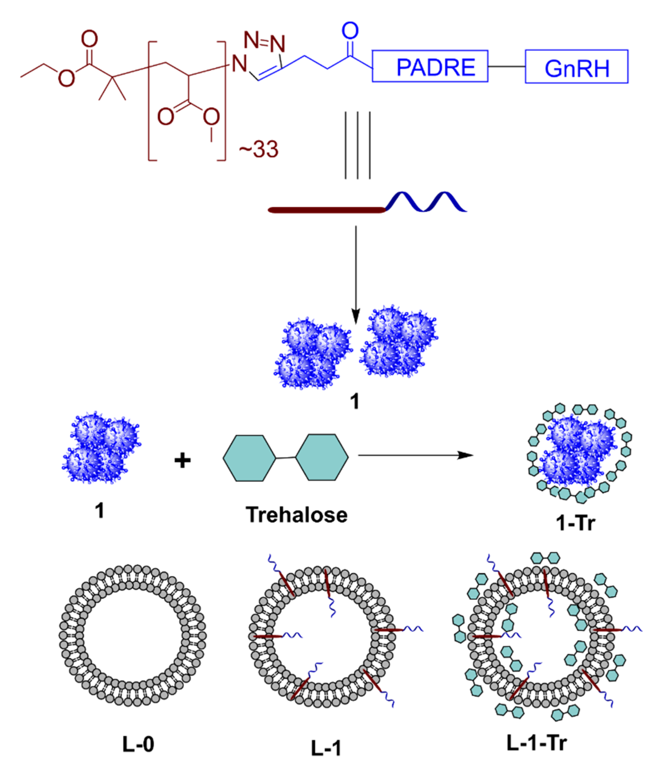 Pharmaceutics 13 01081 g001 Pharmaceutics 13 01081 g001