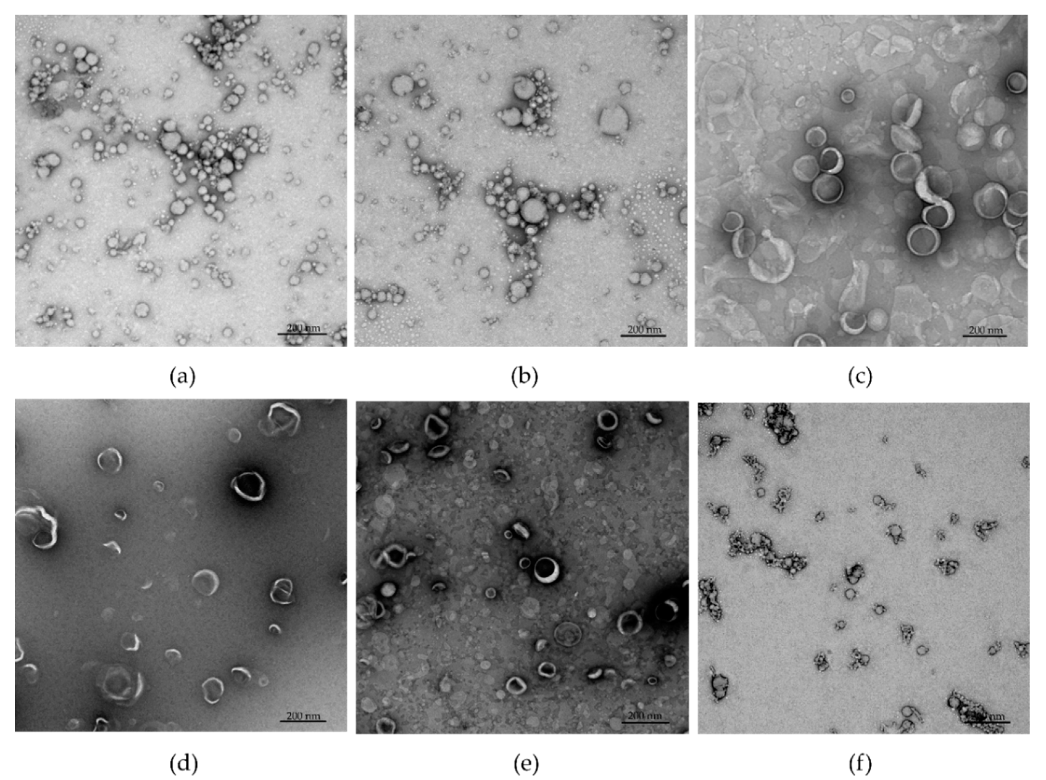 Pharmaceutics 13 01081 g003 Pharmaceutics 13 01081 g003