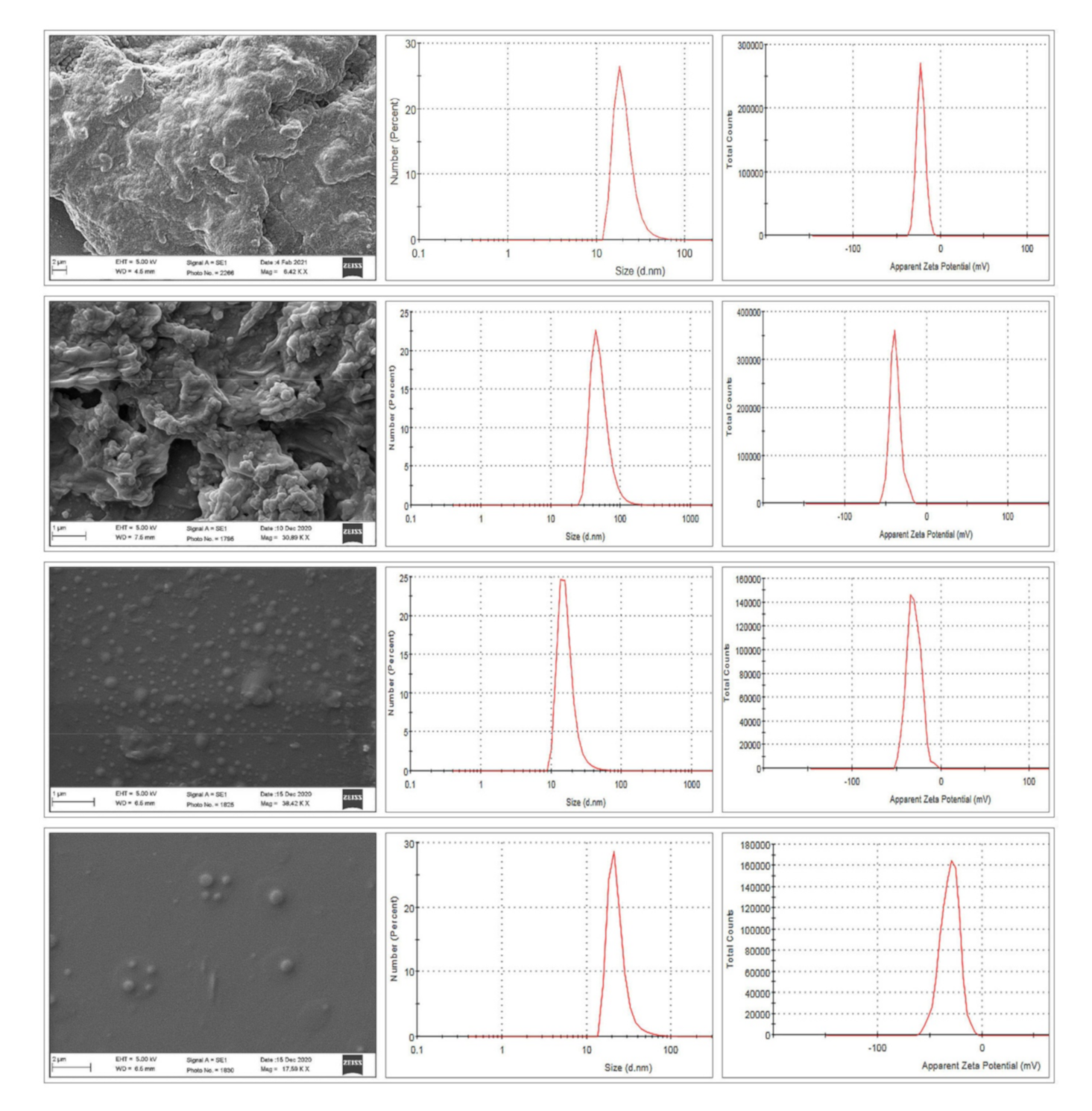 Pharmaceutics 13 01086 g003 550