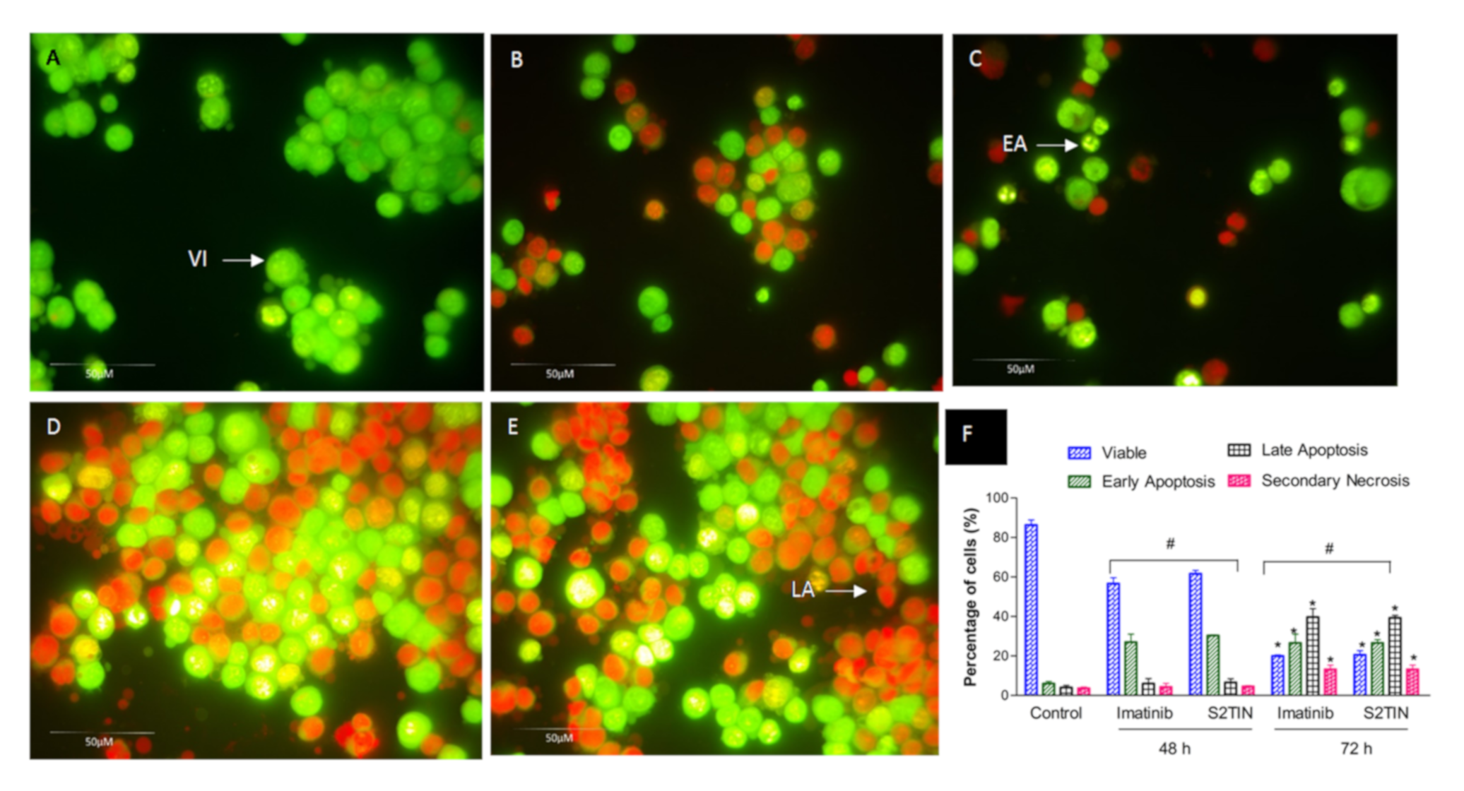 Pharmaceutics 13 01086 g007 550