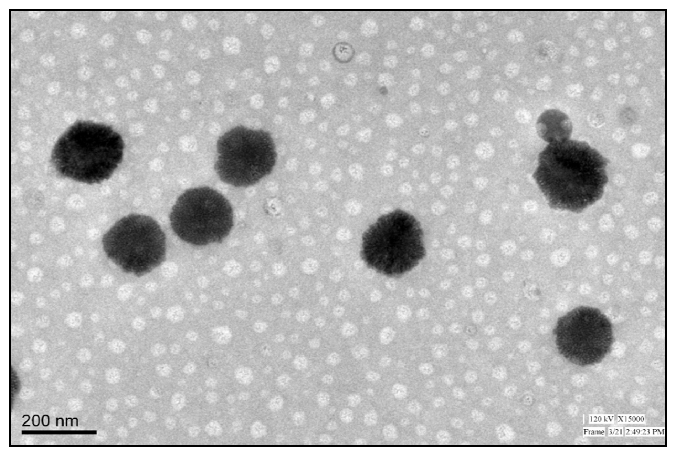 Pharmaceutics 13 01087 g006 550