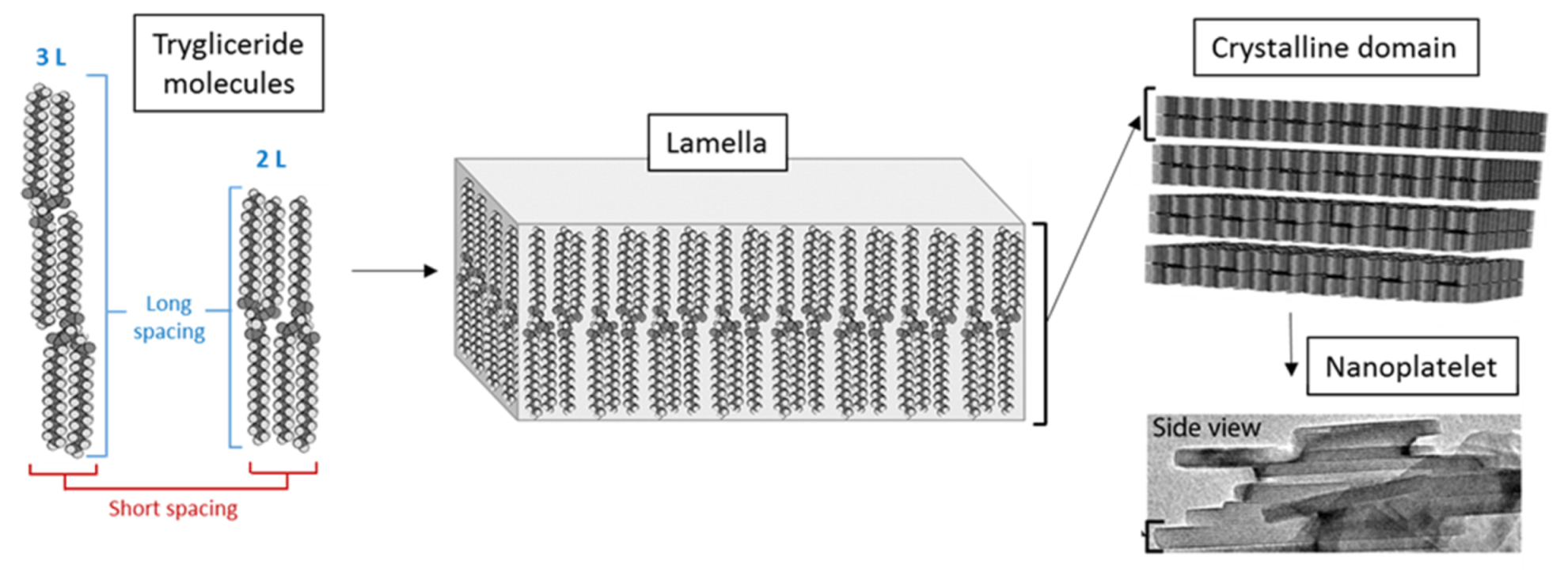 Pharmaceutics 13 01089 g006
