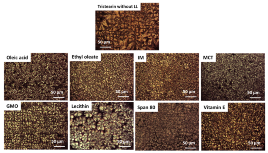 Pharmaceutics 13 01089 g009