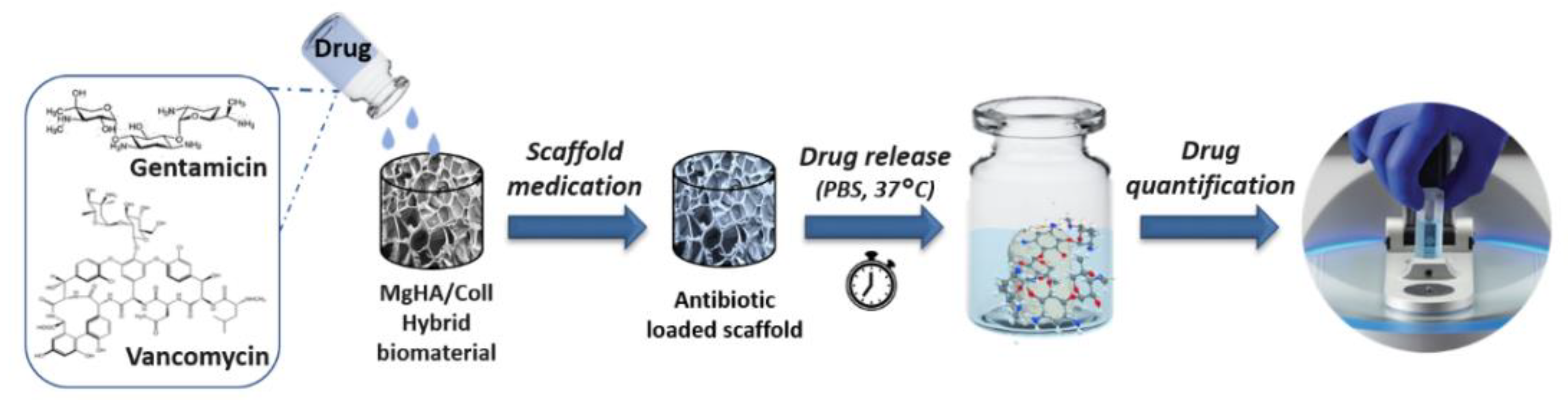 Pharmaceutics 13 01090 g001