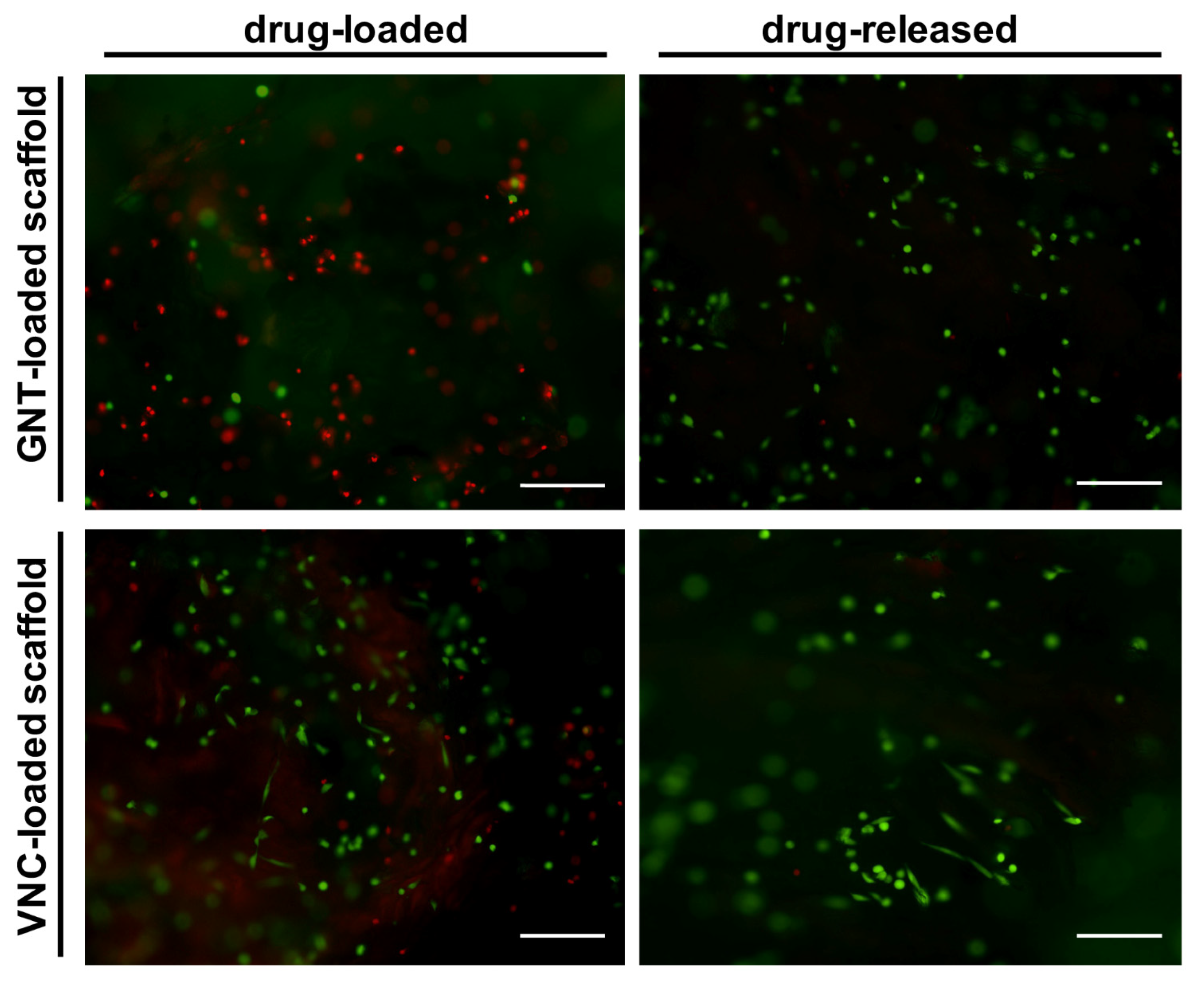 Pharmaceutics 13 01090 g008