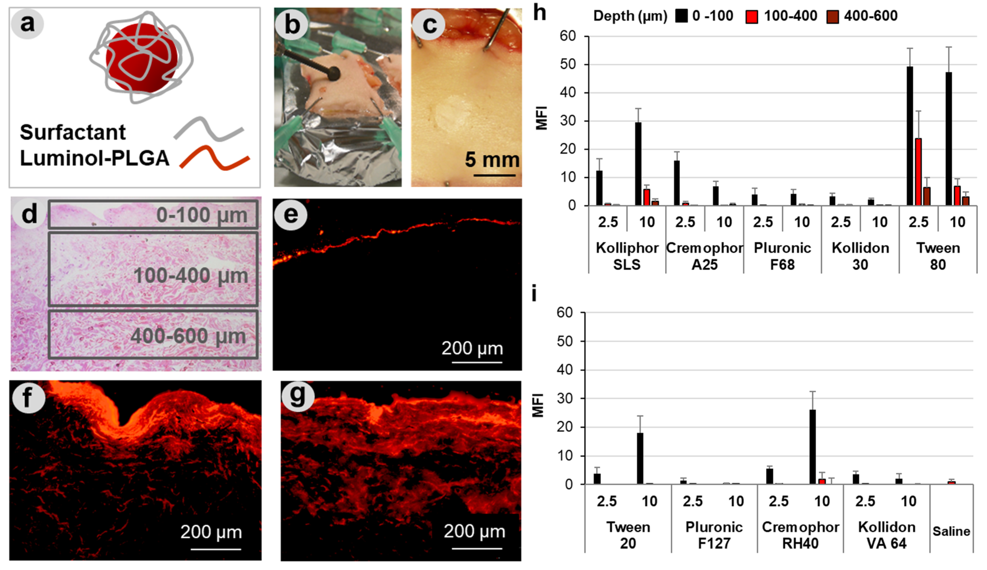 Pharmaceutics 13 01093 g002