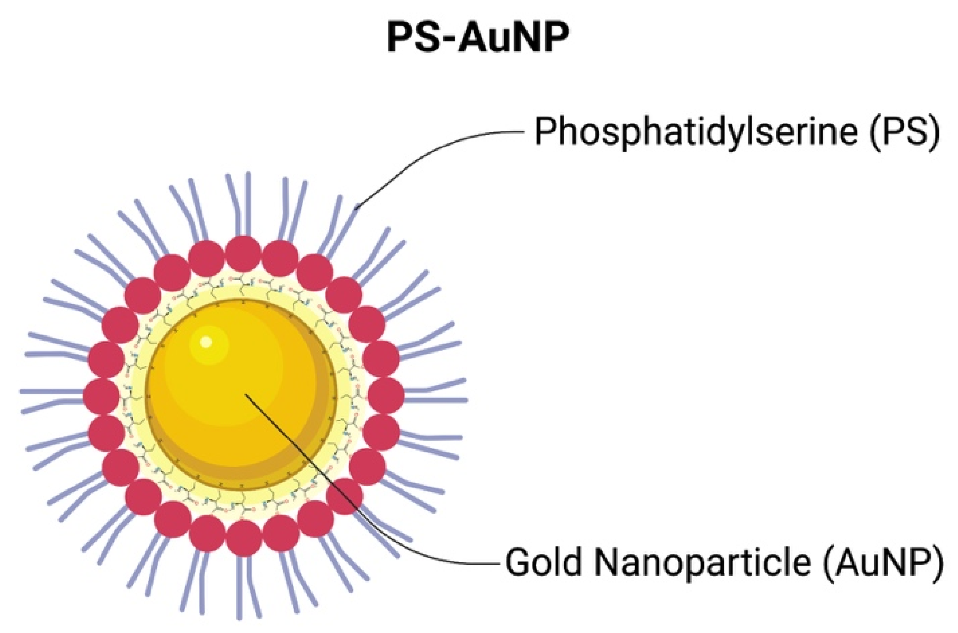 Pharmaceutics 13 01094 g001