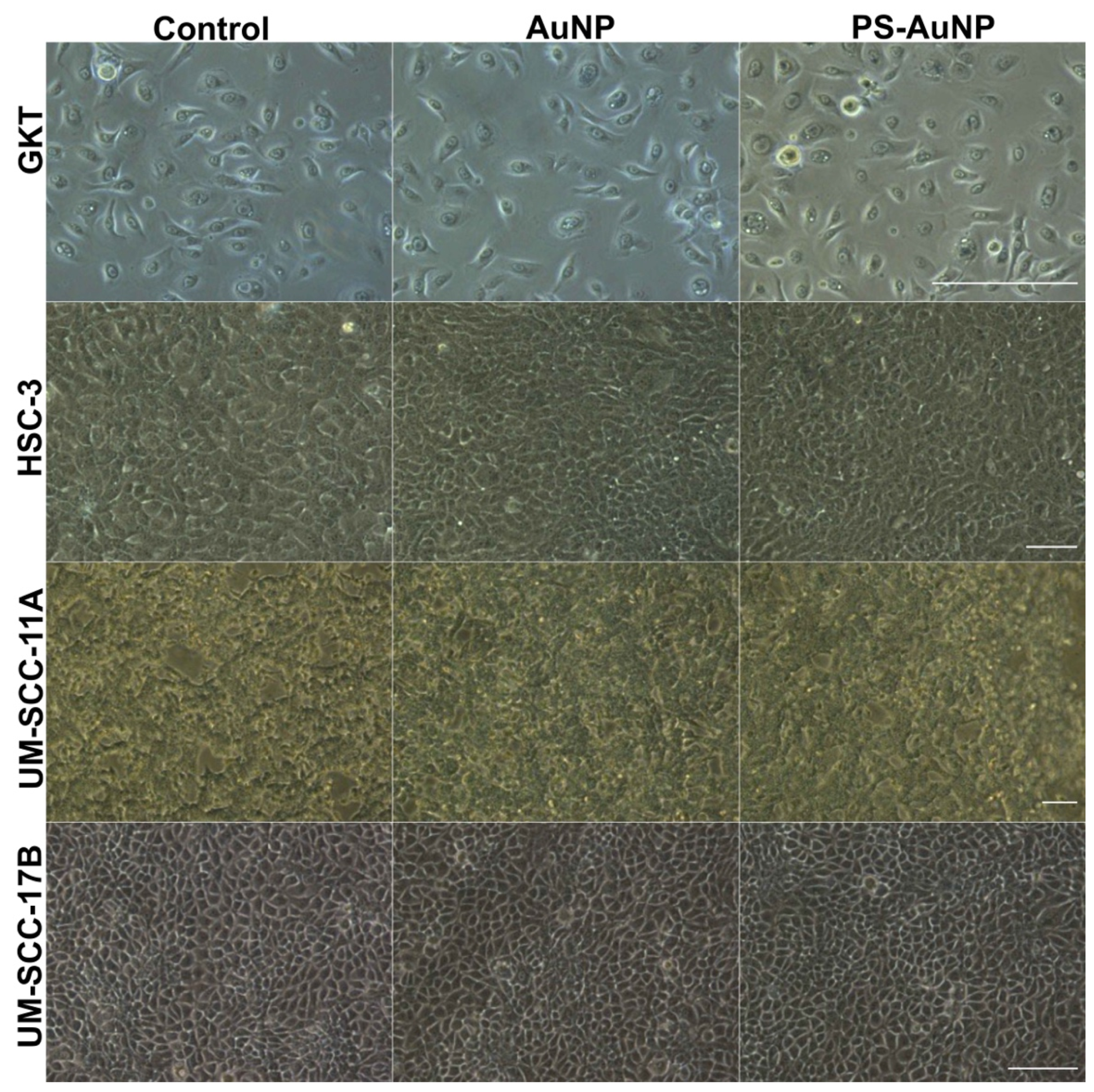 Pharmaceutics 13 01094 g005