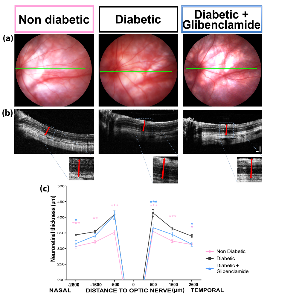 Pharmaceutics 13 01095 g003 Pharmaceutics 13 01095 g003