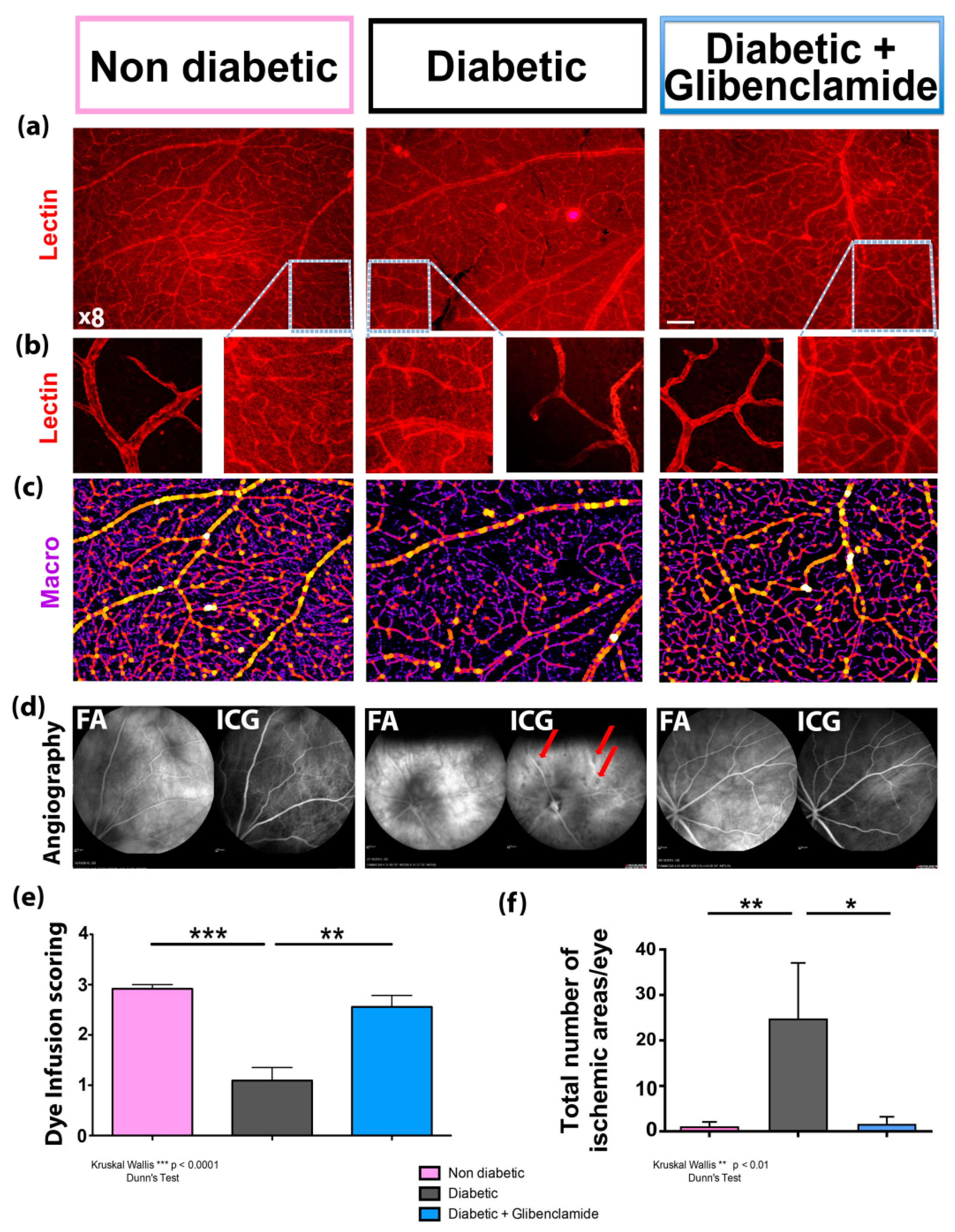 Pharmaceutics 13 01095 g004 Pharmaceutics 13 01095 g004