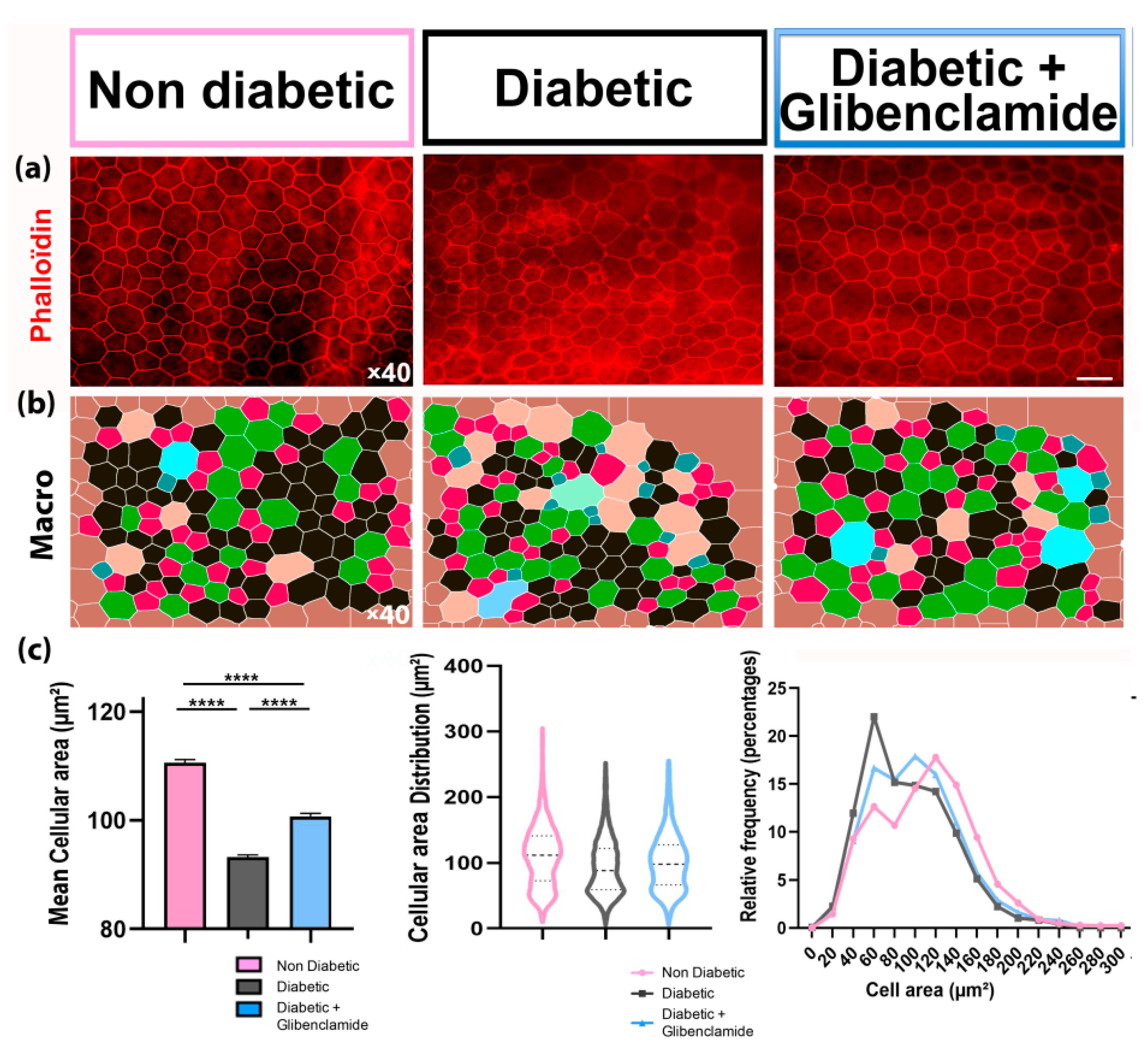 Pharmaceutics 13 01095 g005 Pharmaceutics 13 01095 g005