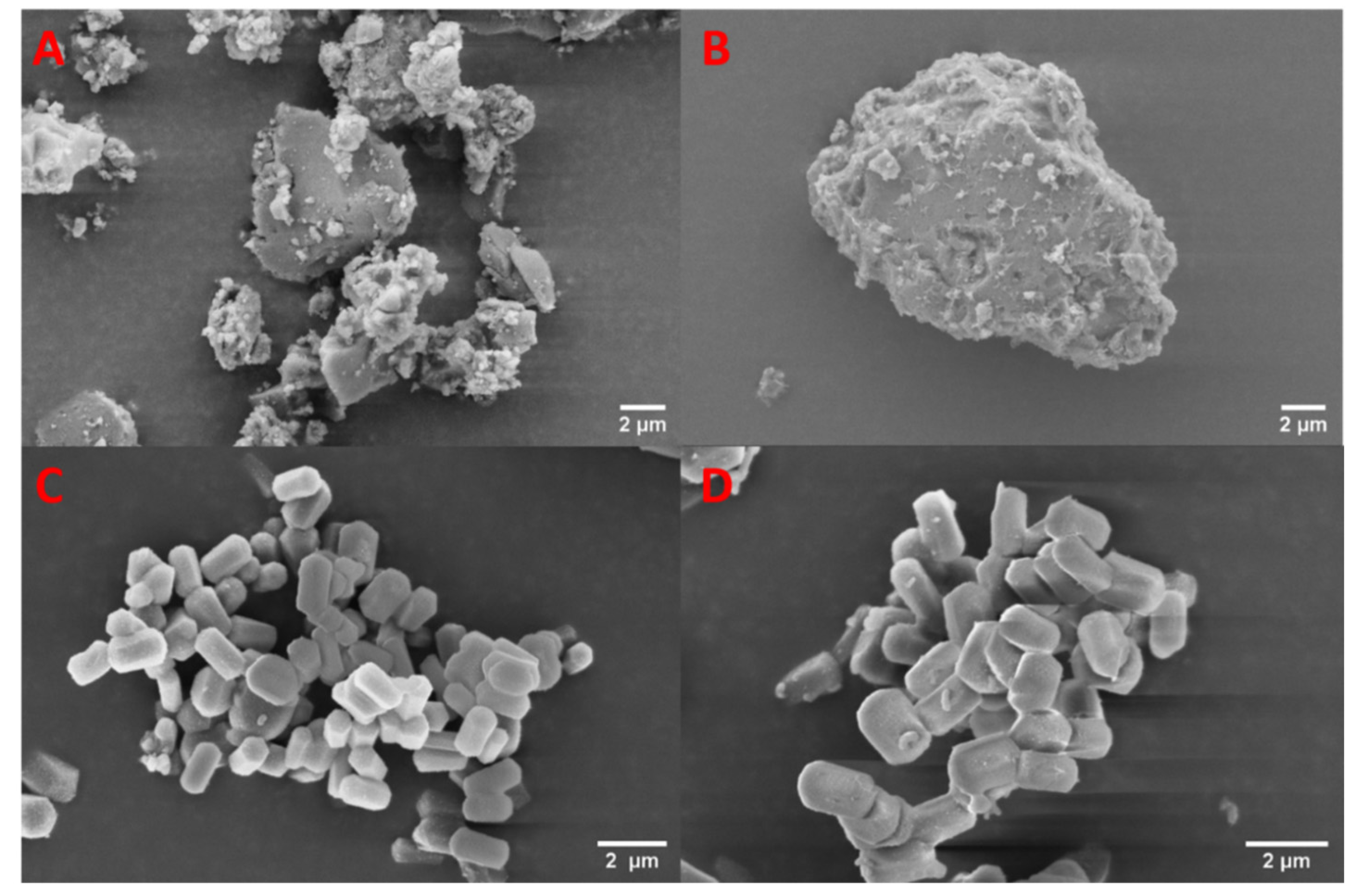 Pharmaceutics 13 01096 g007 Pharmaceutics 13 01096 g007