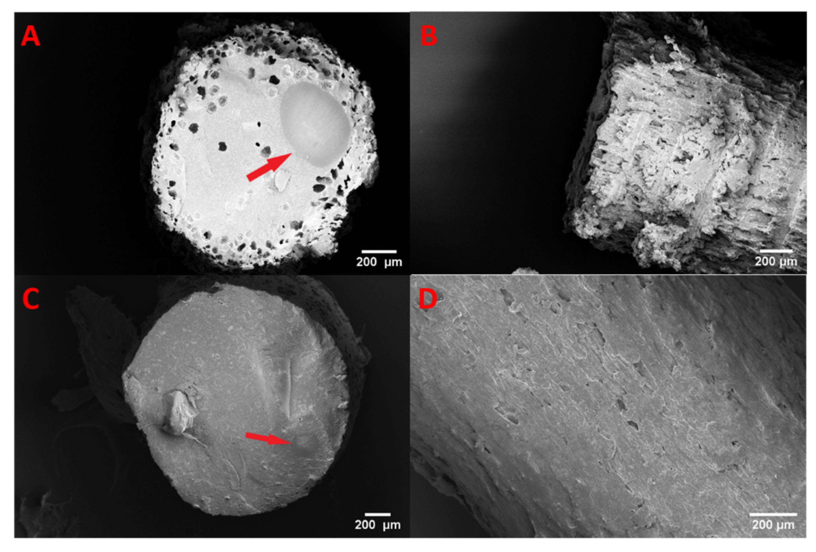 Pharmaceutics 13 01096 g008 Pharmaceutics 13 01096 g008