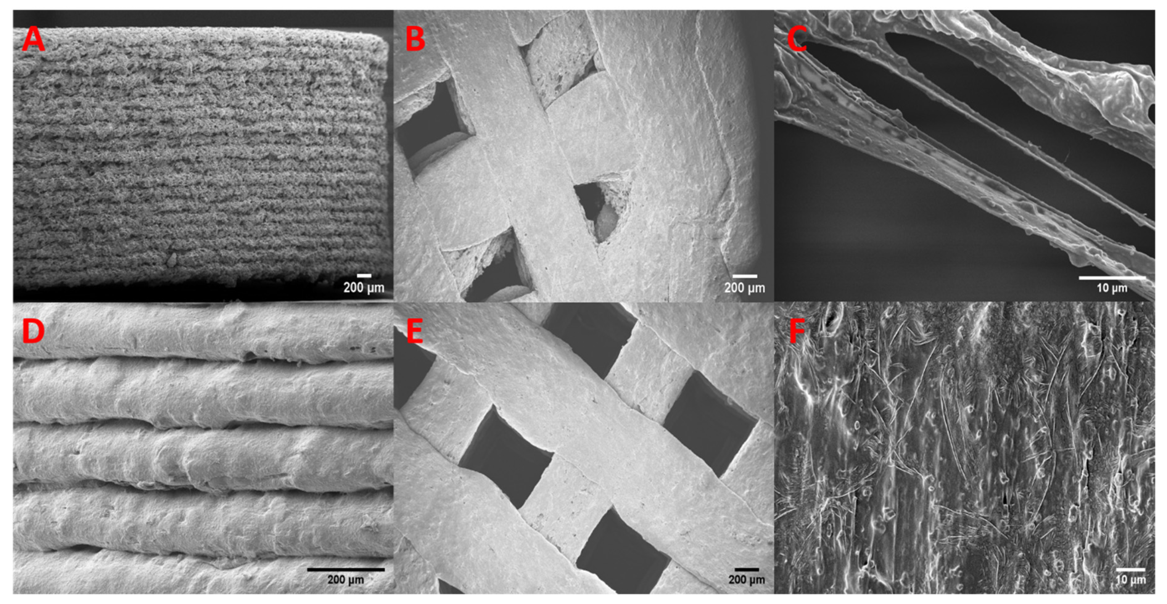 Pharmaceutics 13 01096 g009 Pharmaceutics 13 01096 g009
