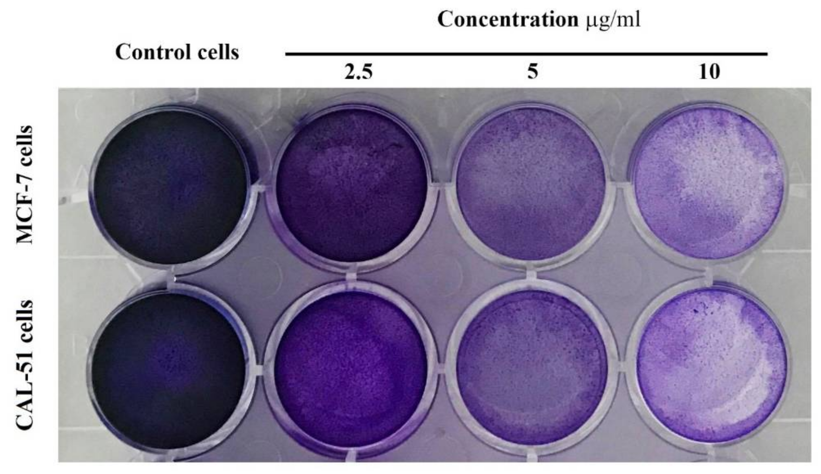 Pharmaceutics 13 01098 g011