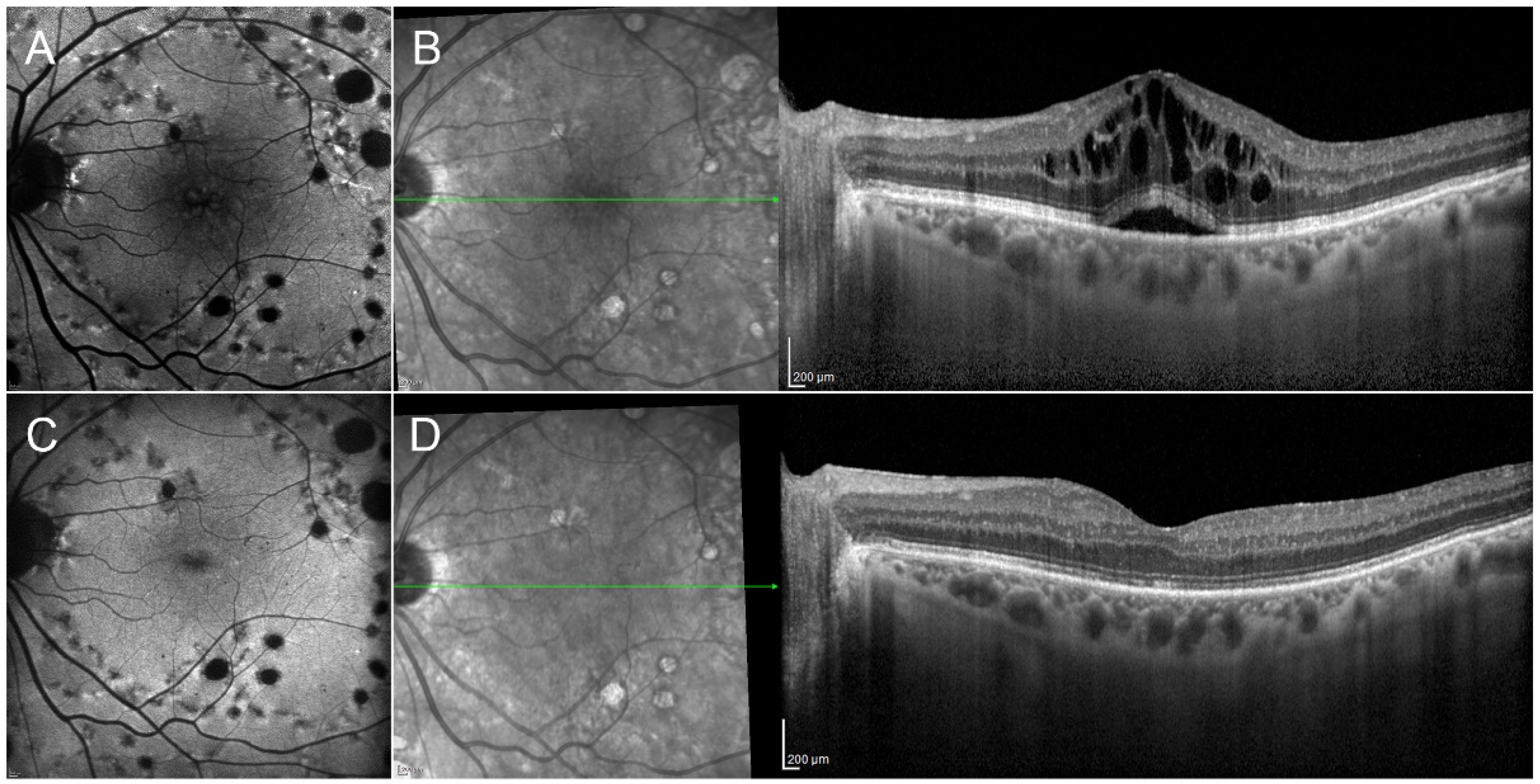 Pharmaceutics 13 01102 g002