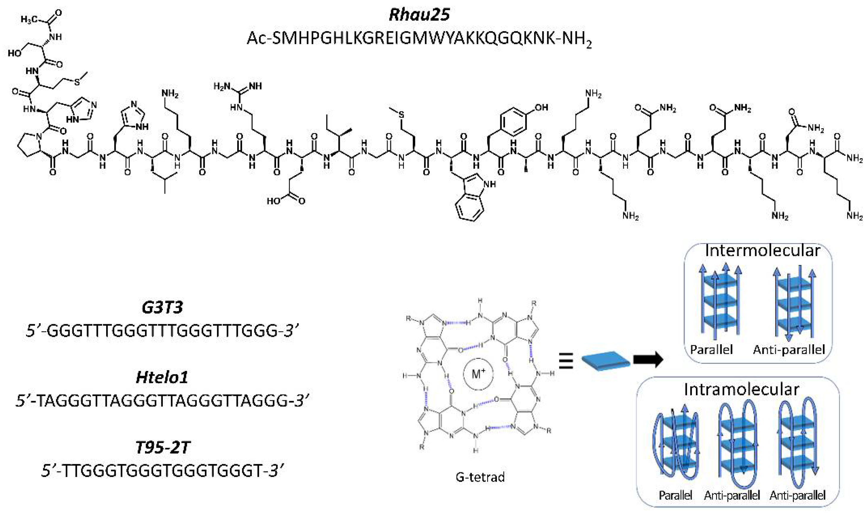 Pharmaceutics 13 01104 g001 550