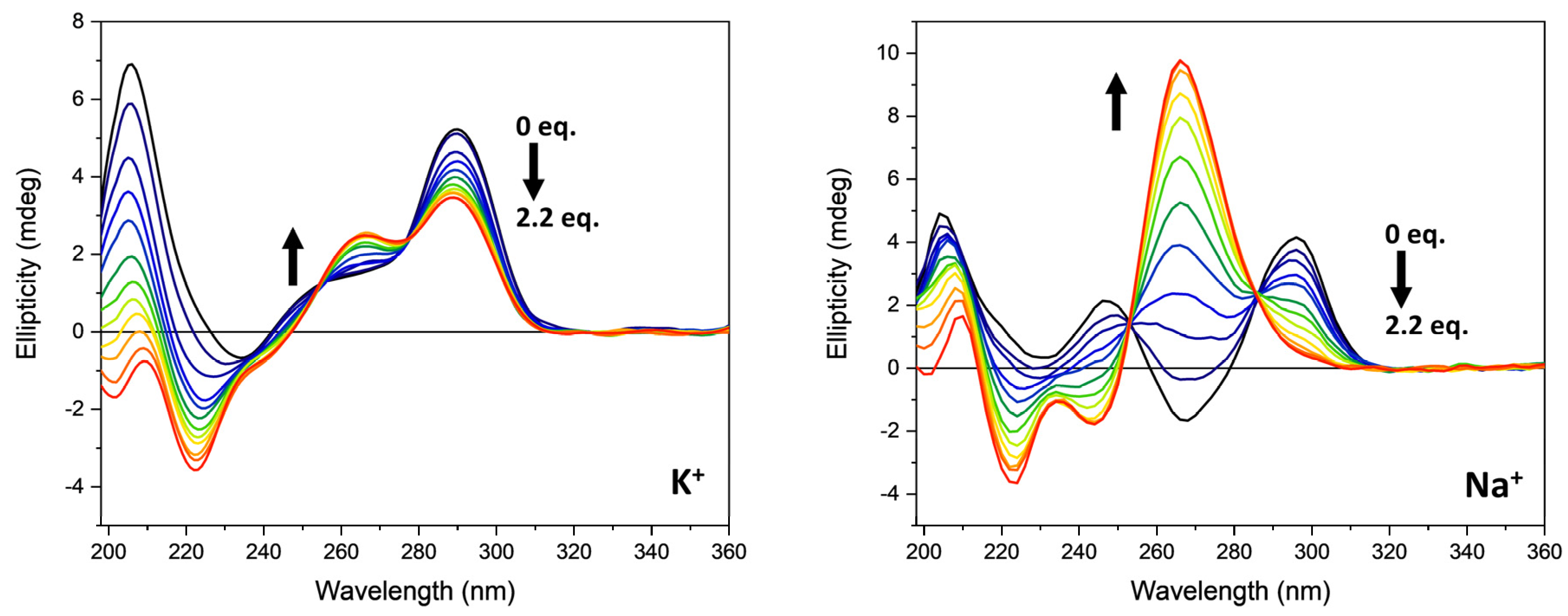 Pharmaceutics 13 01104 g003 550