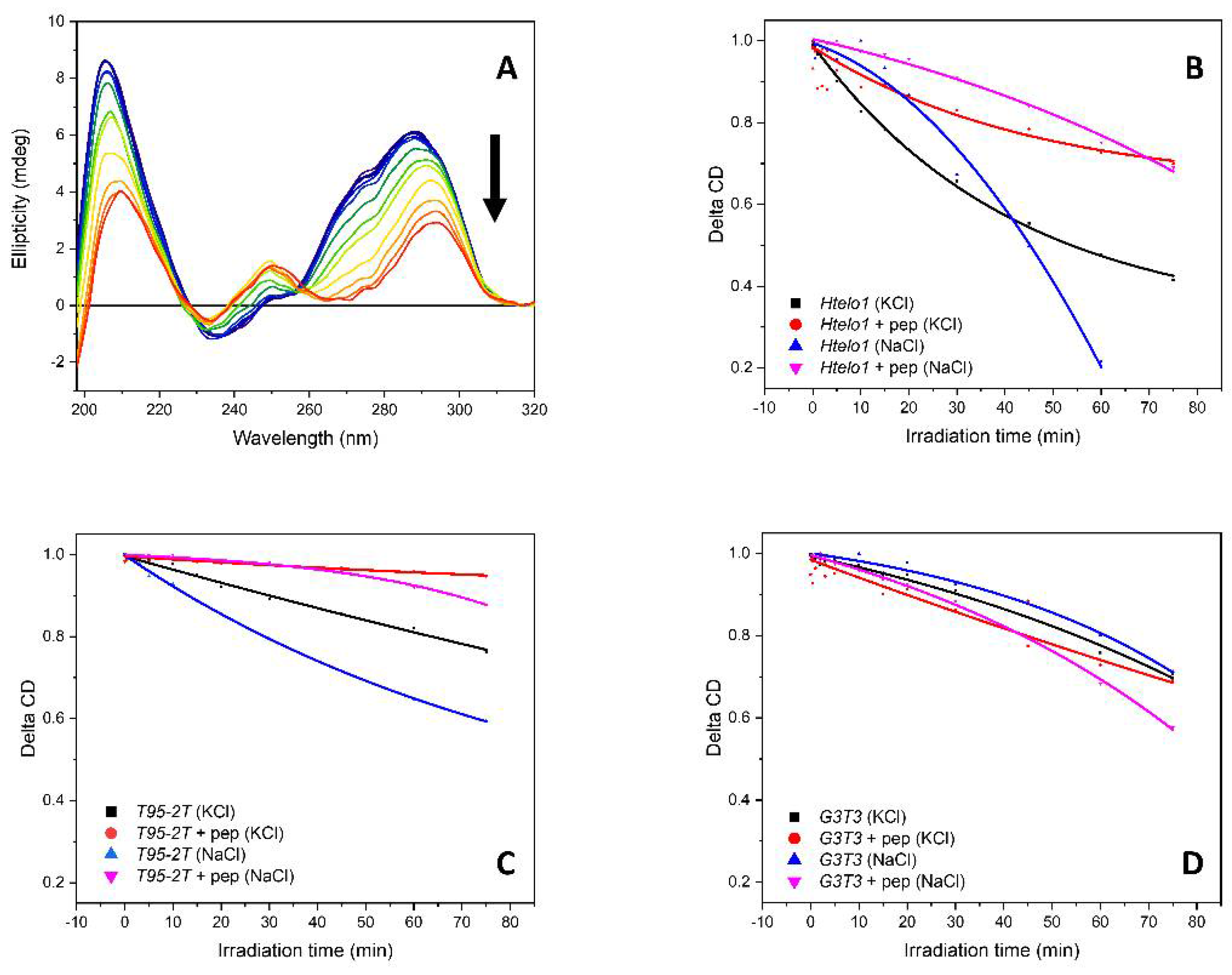 Pharmaceutics 13 01104 g012 550