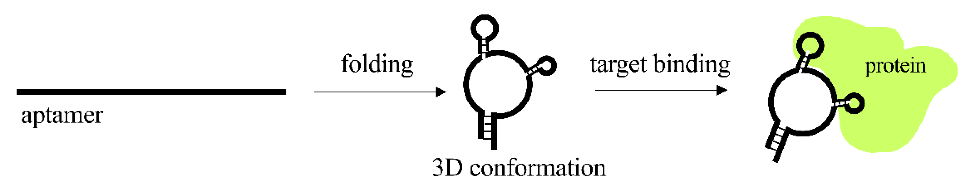 Pharmaceutics 13 01106 g004 Pharmaceutics 13 01106 g004