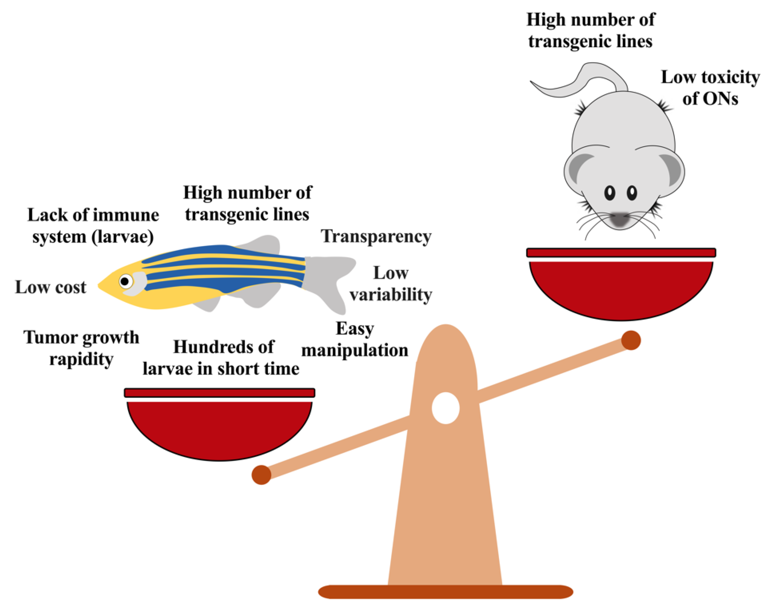 Pharmaceutics 13 01106 g008 Pharmaceutics 13 01106 g008