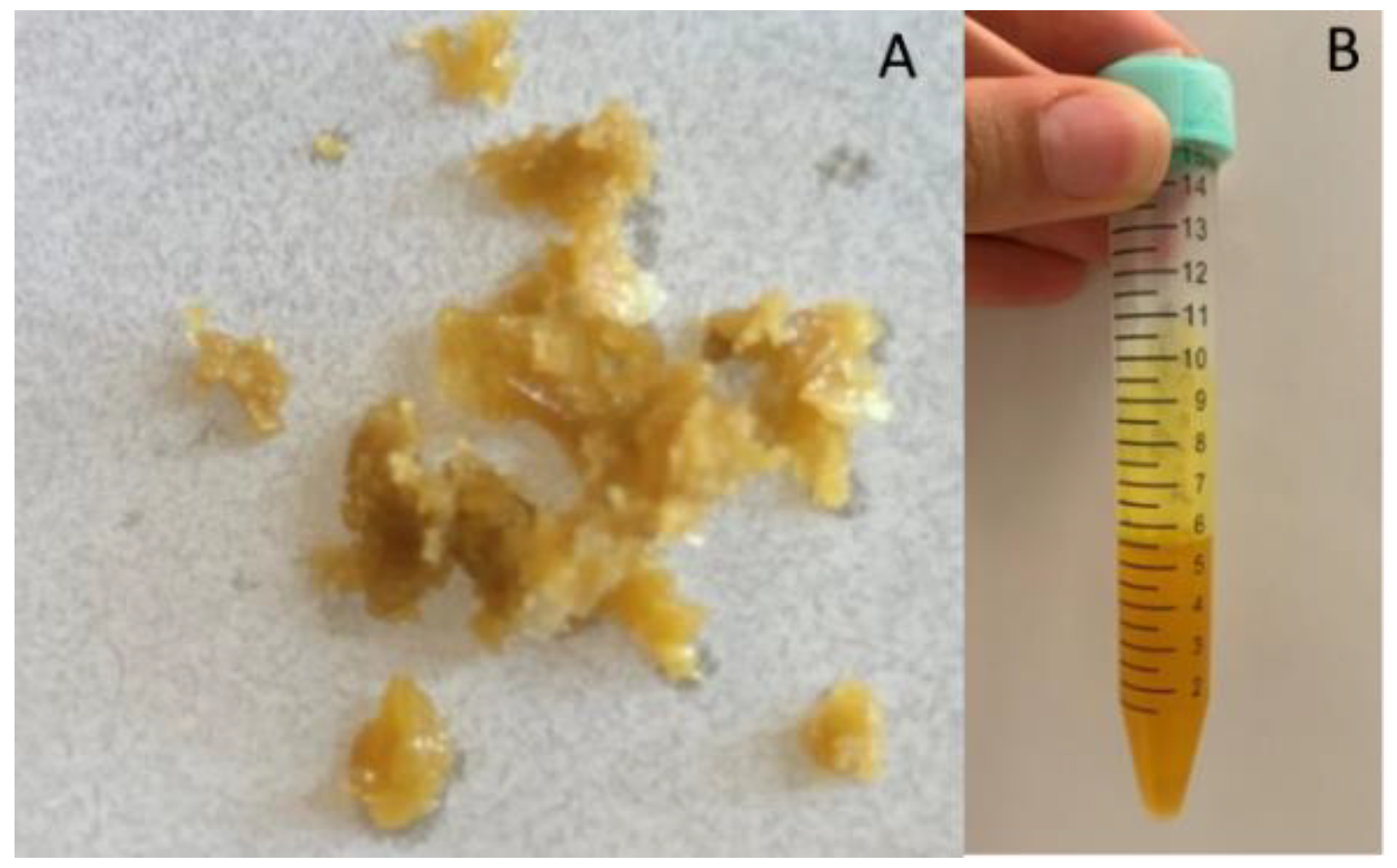 Pharmaceutics 13 01107 g002 550