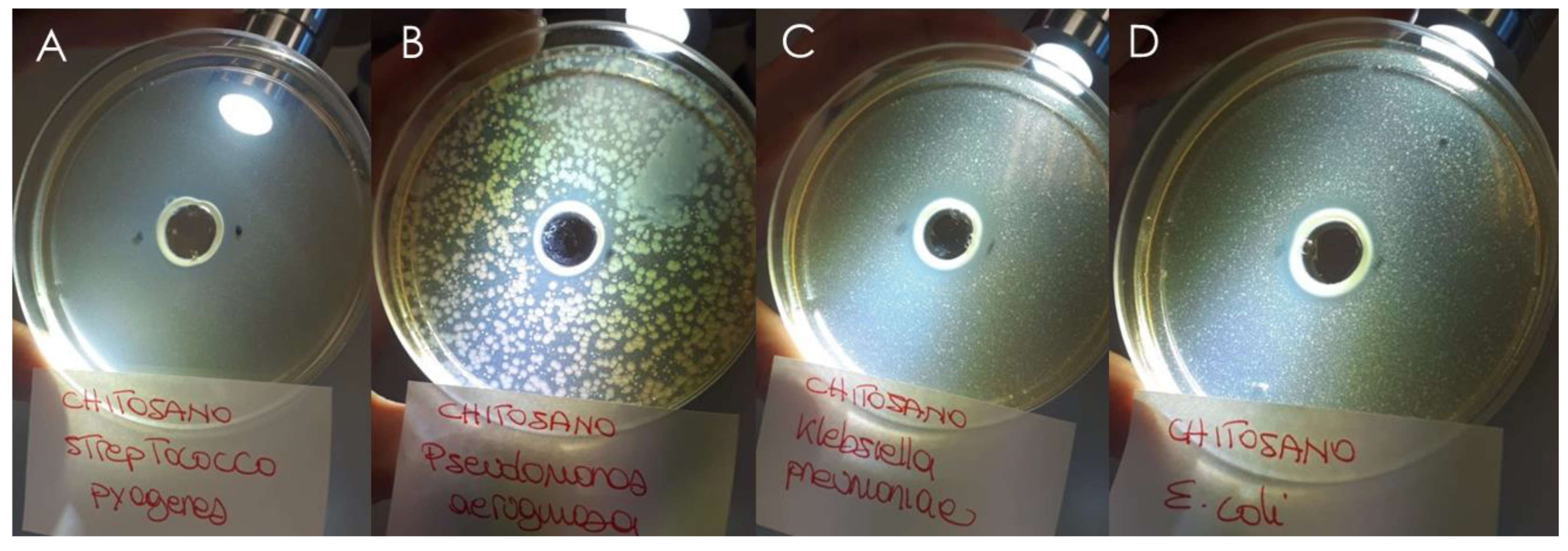 Pharmaceutics 13 01107 g011 550