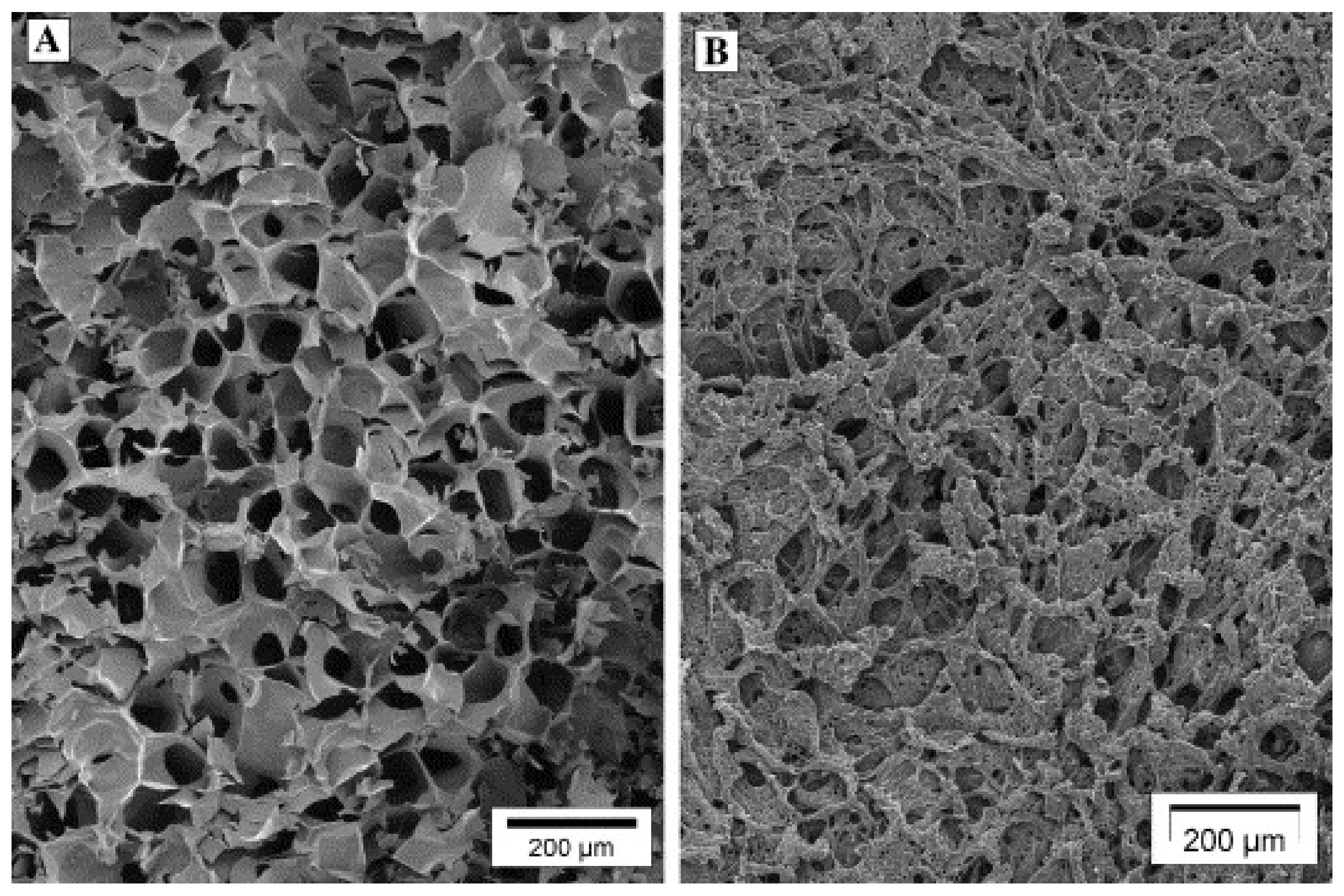 Pharmaceutics 13 01112 g007 550