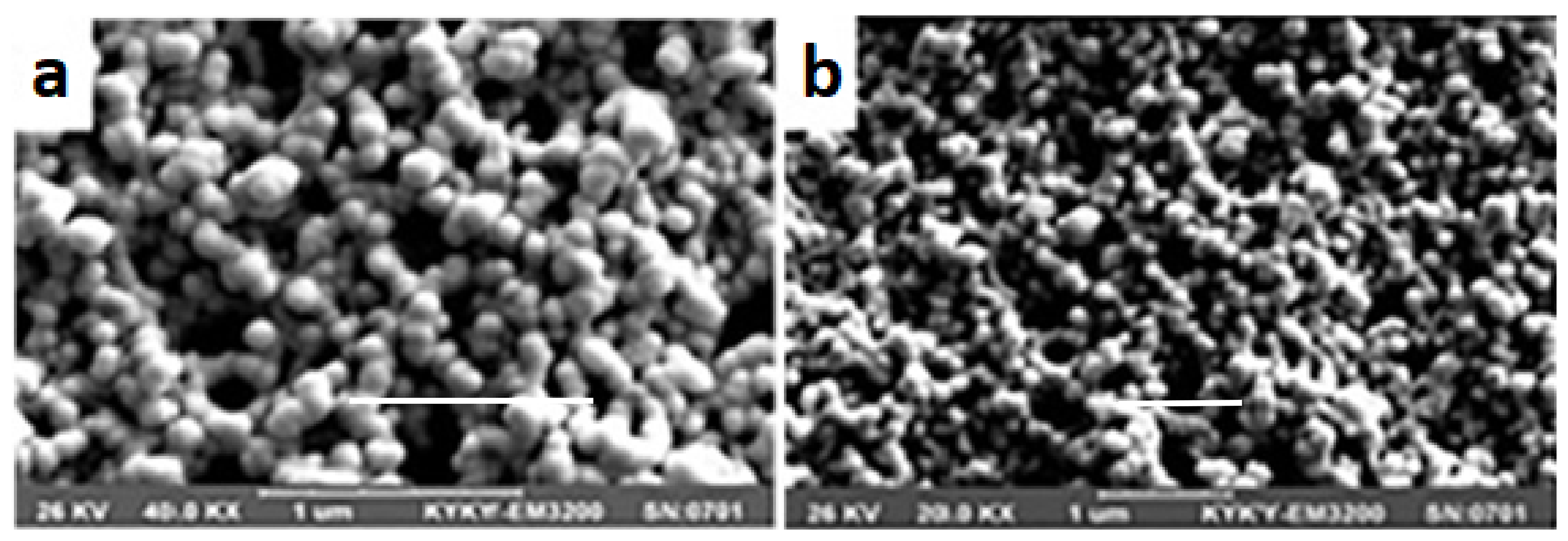 Pharmaceutics 13 01112 g008 550