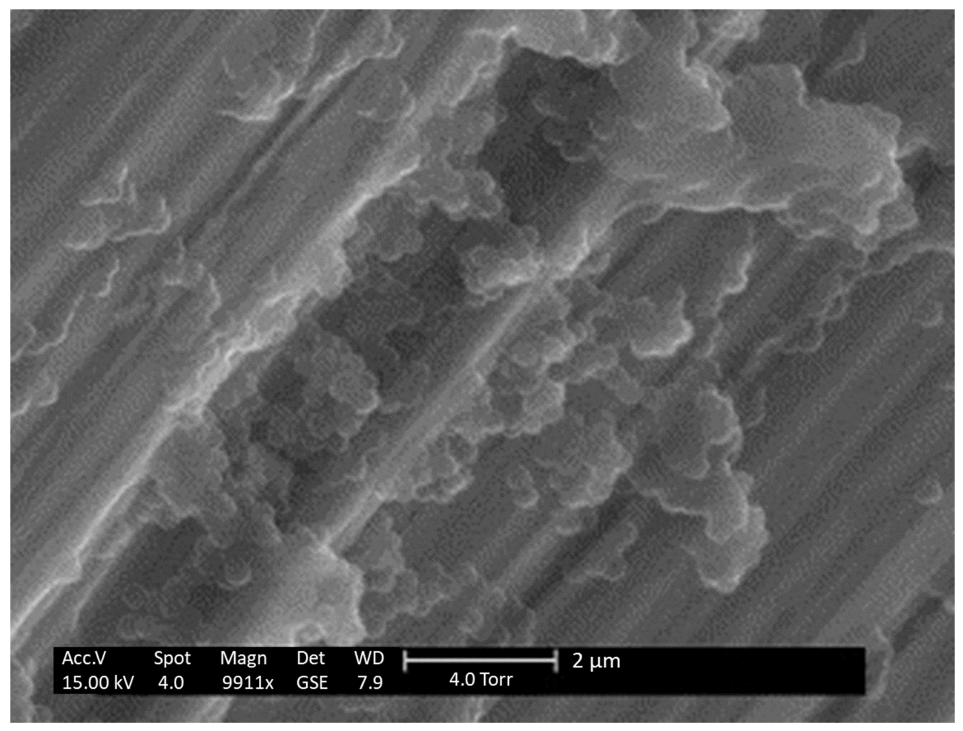 Pharmaceutics 13 01112 g009 550