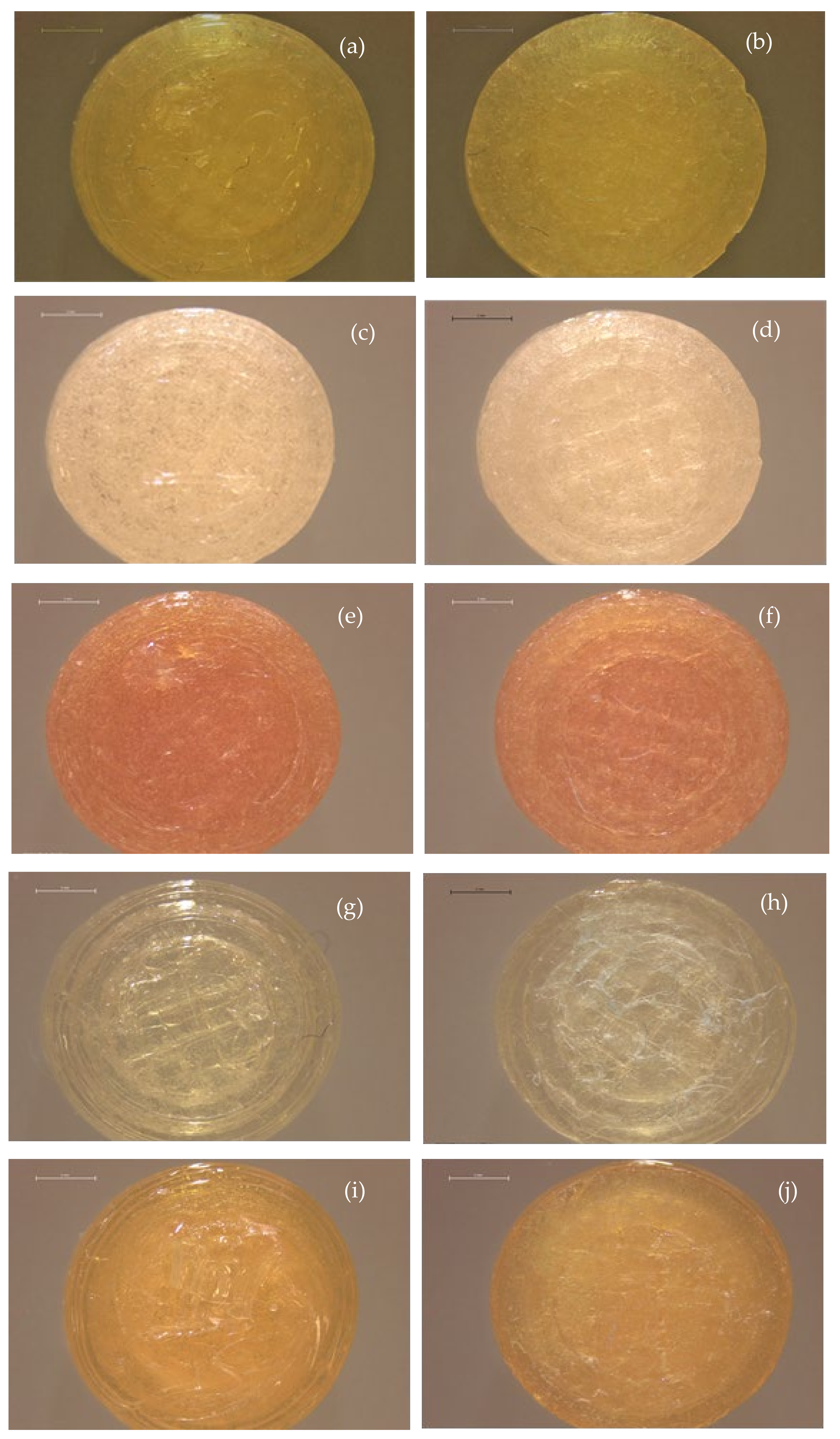 Pharmaceutics 13 01114 g002