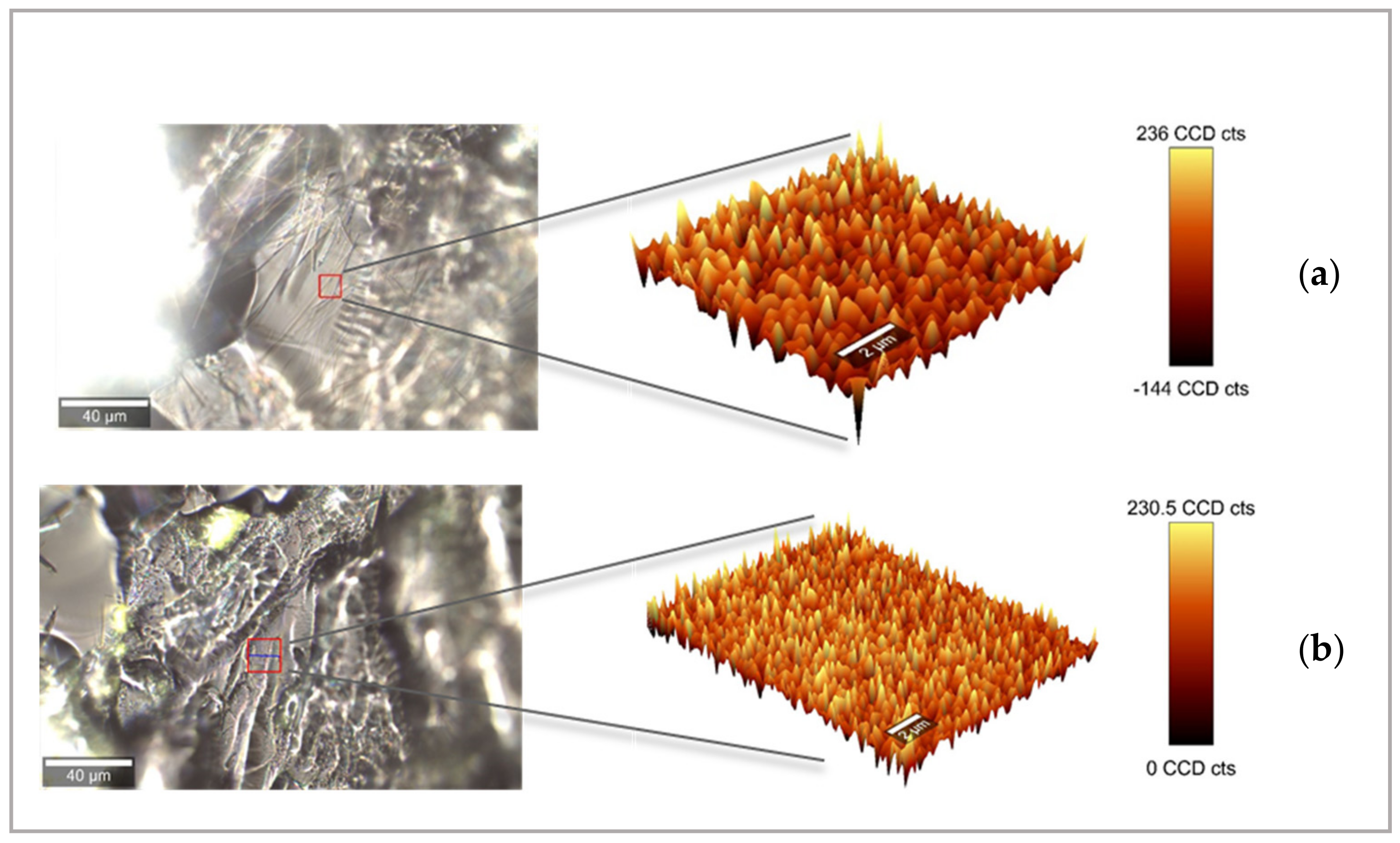 Pharmaceutics 13 01114 g008