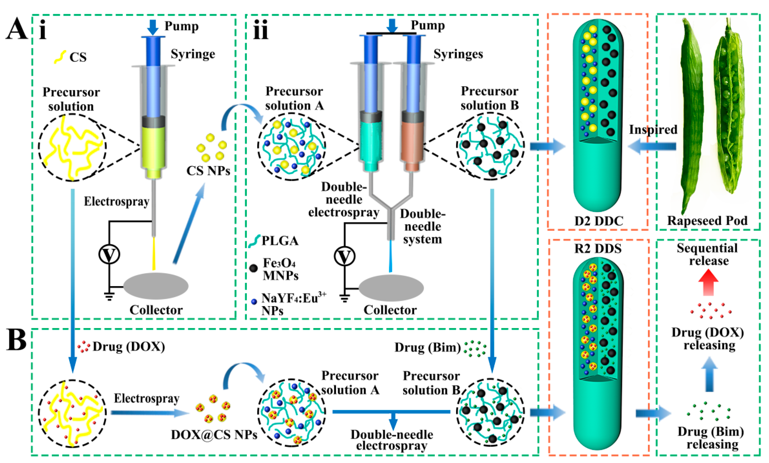 Pharmaceutics 13 01116 g001