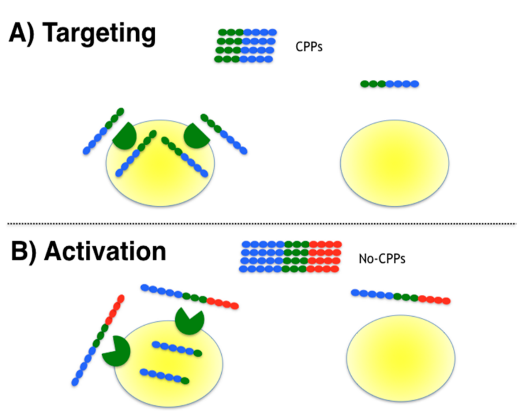 Pharmaceutics 13 01119 g001