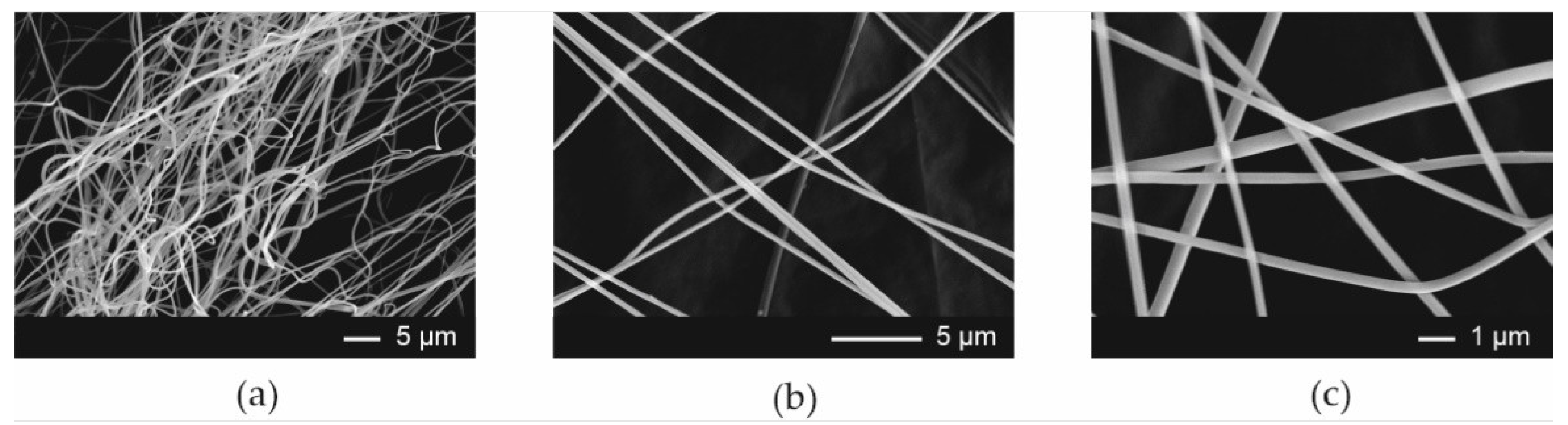 Pharmaceutics 13 01122 g002 550