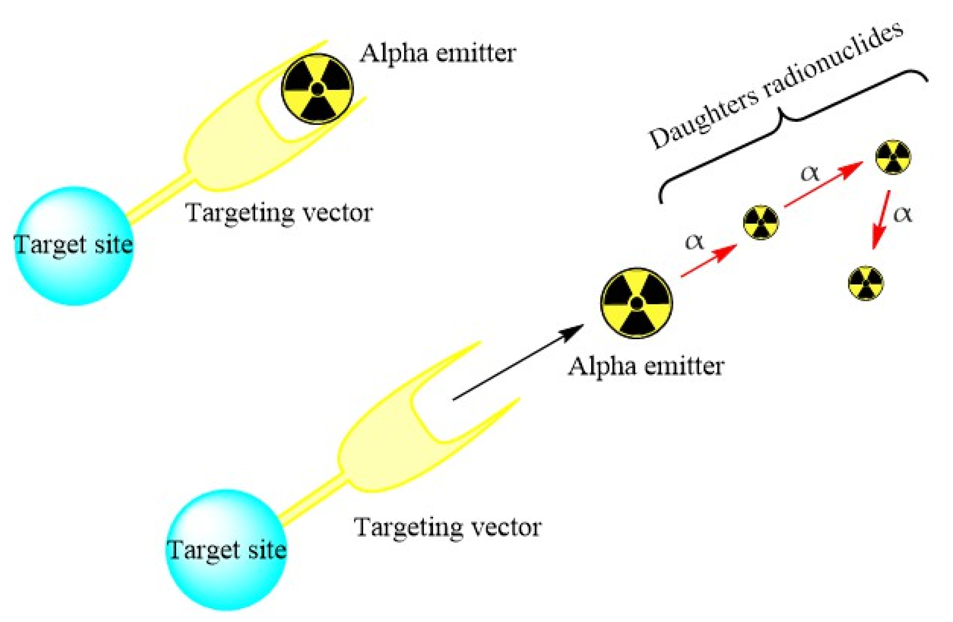 Pharmaceutics 13 01123 g007 Pharmaceutics 13 01123 g007
