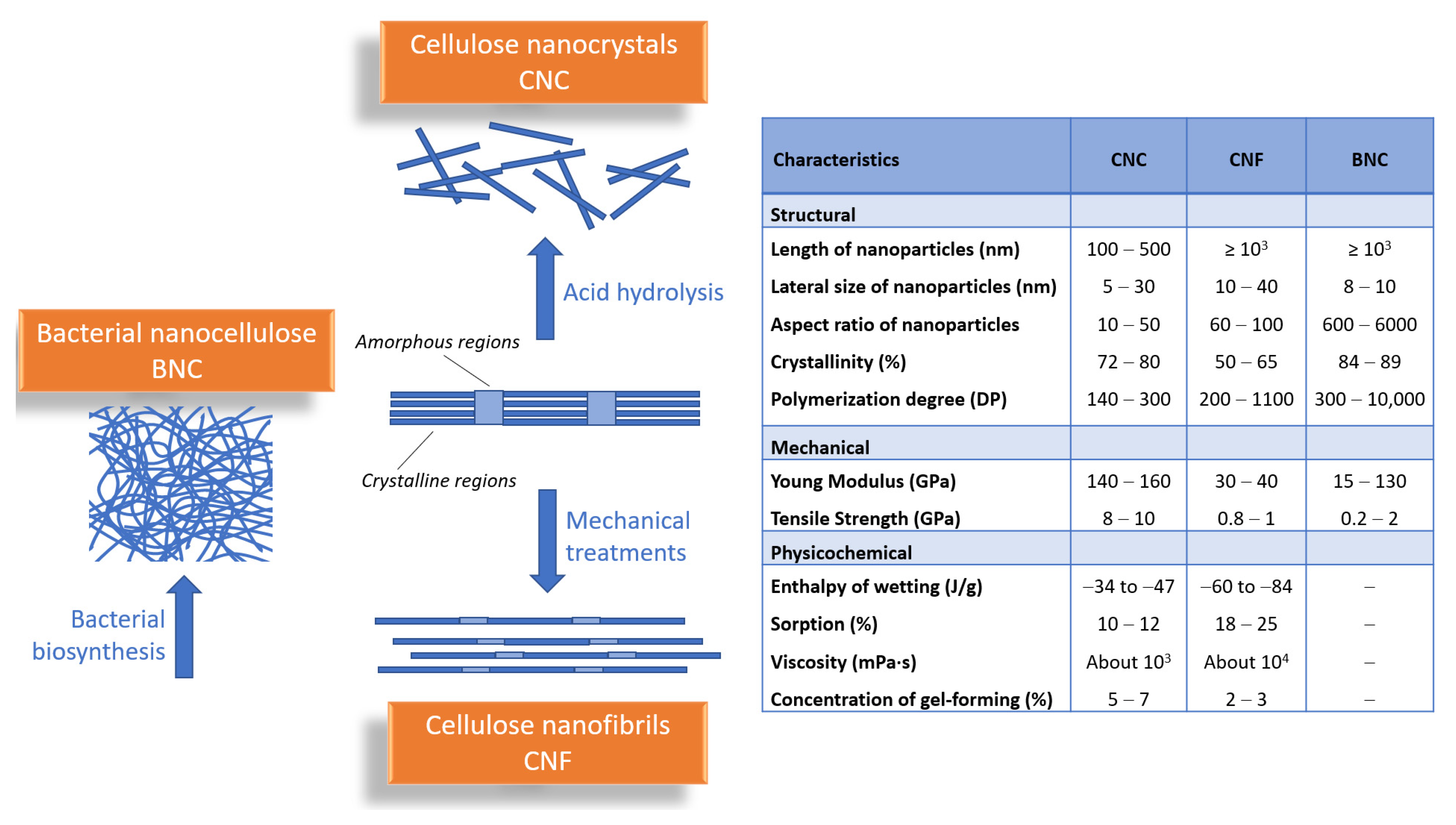 Pharmaceutics 13 01125 g001